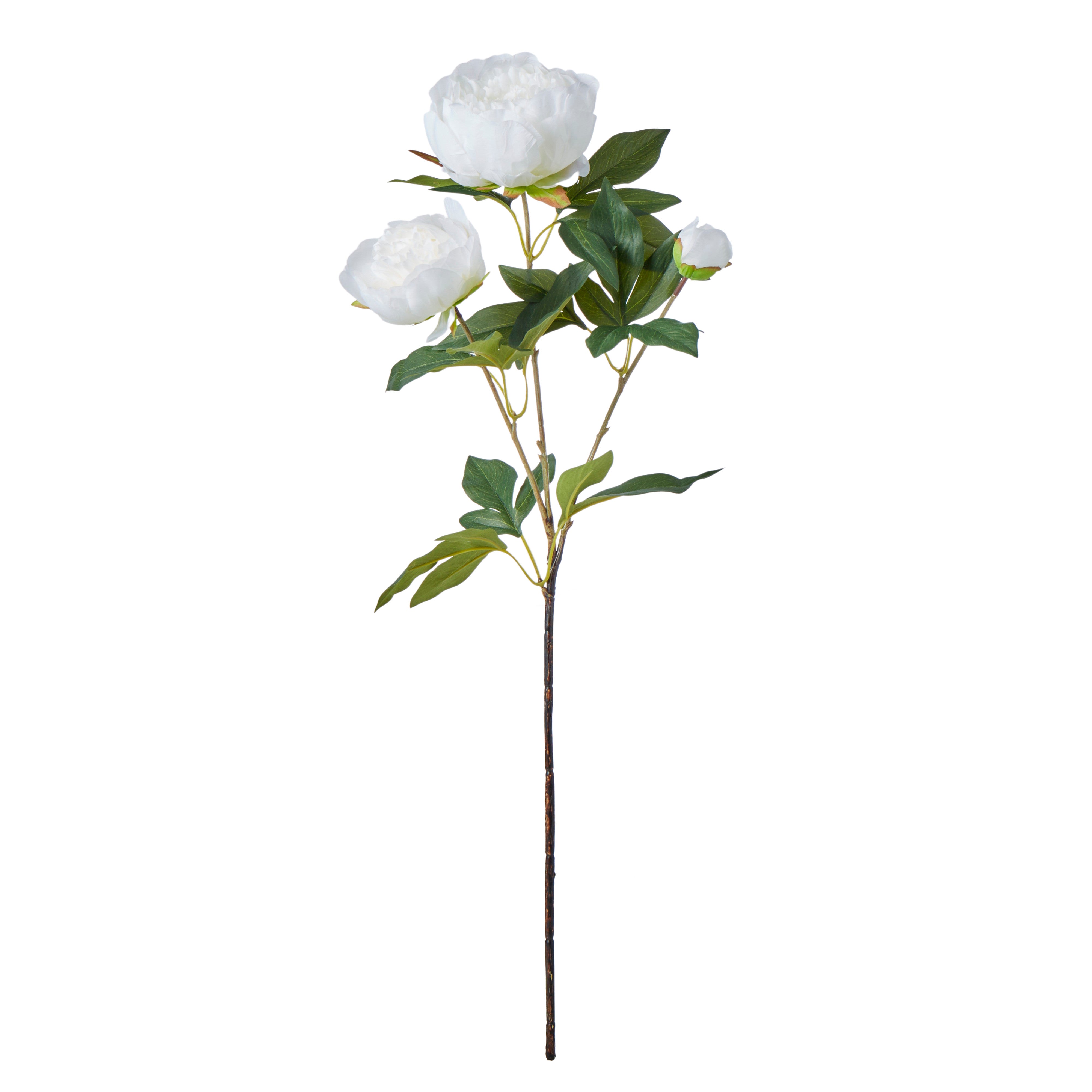 Rogue Peony Stem White 71cm
