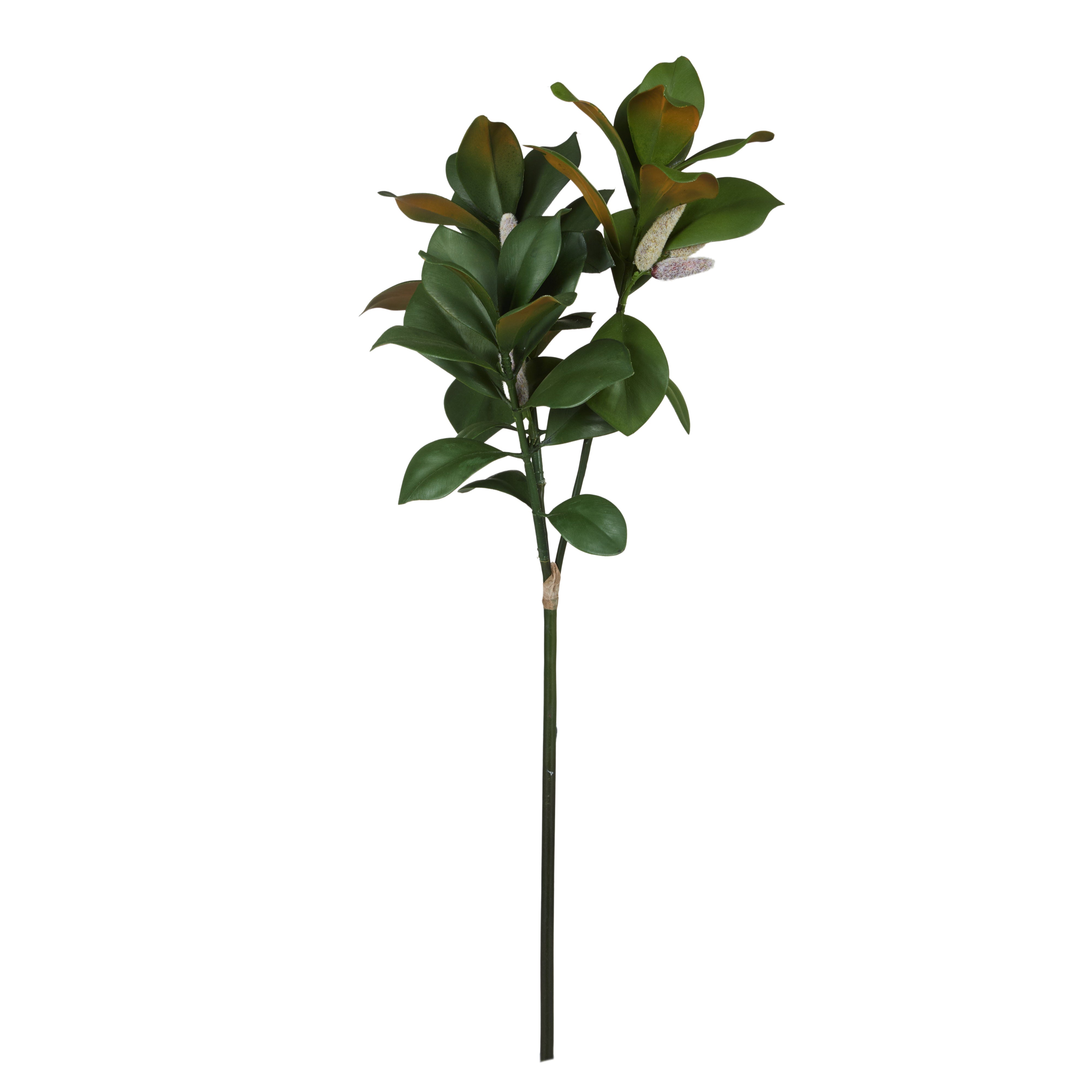 Rogue Magnolia Leaf Spray