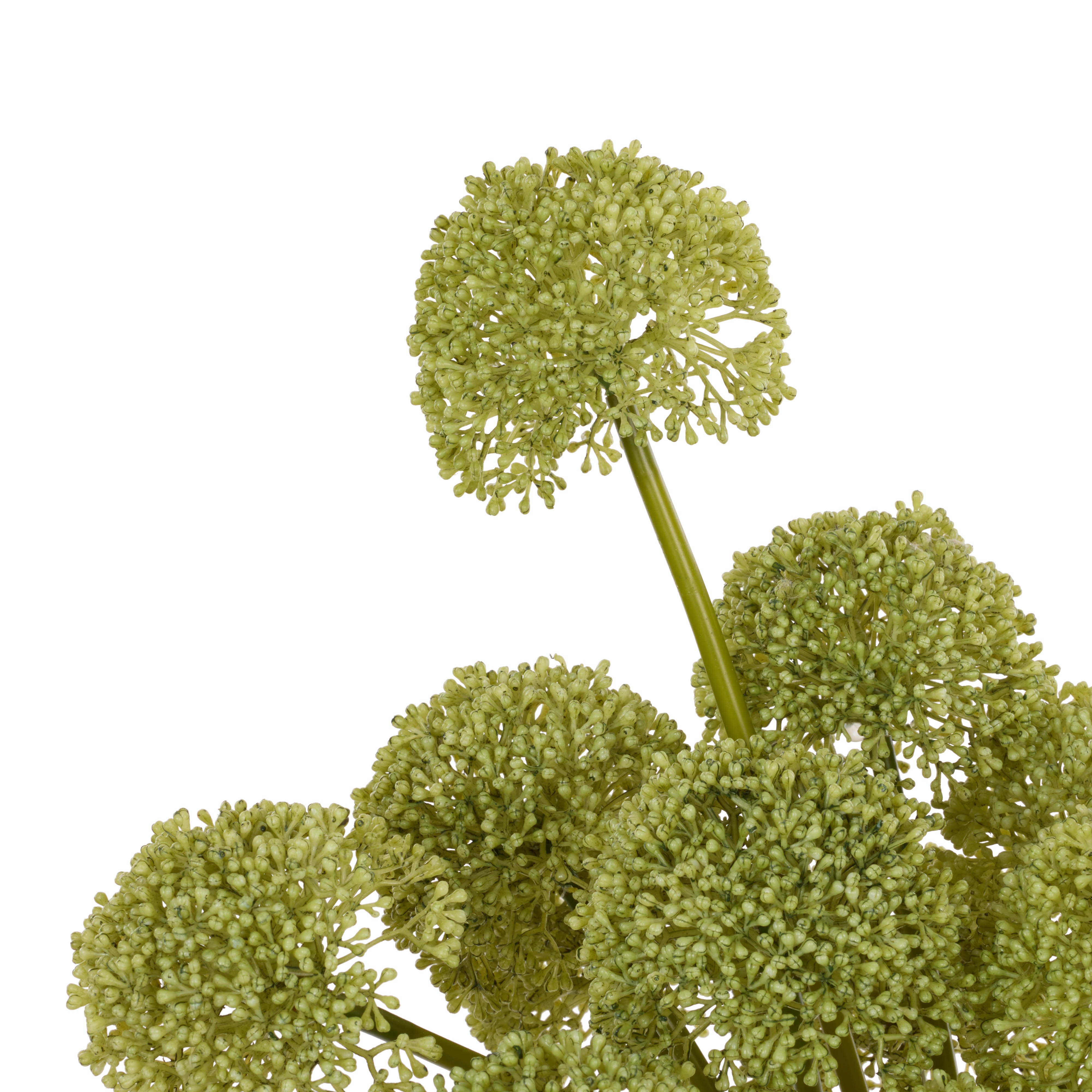 Rogue Buddleia - Maliah Pot