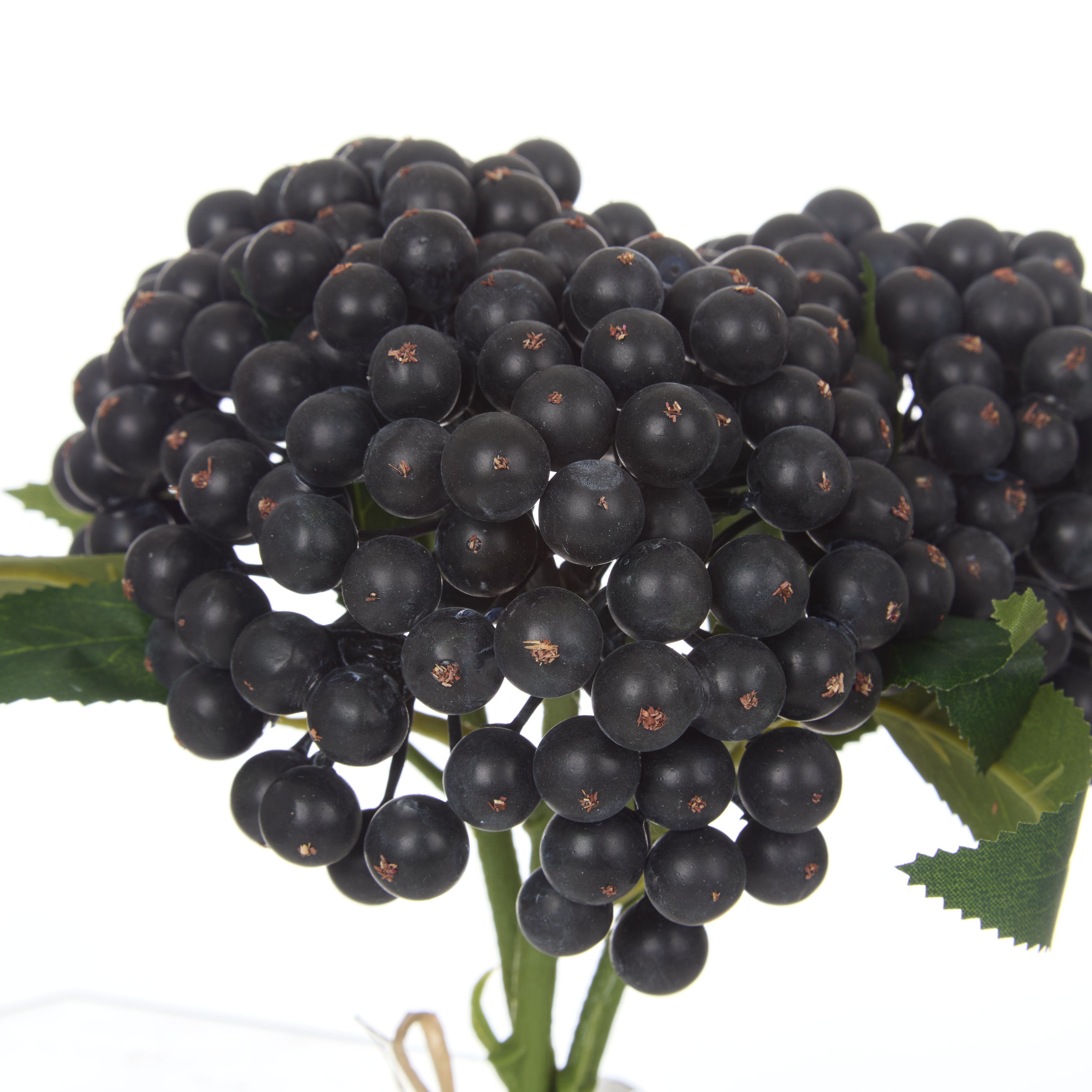 Rogue Blueberry Bunch