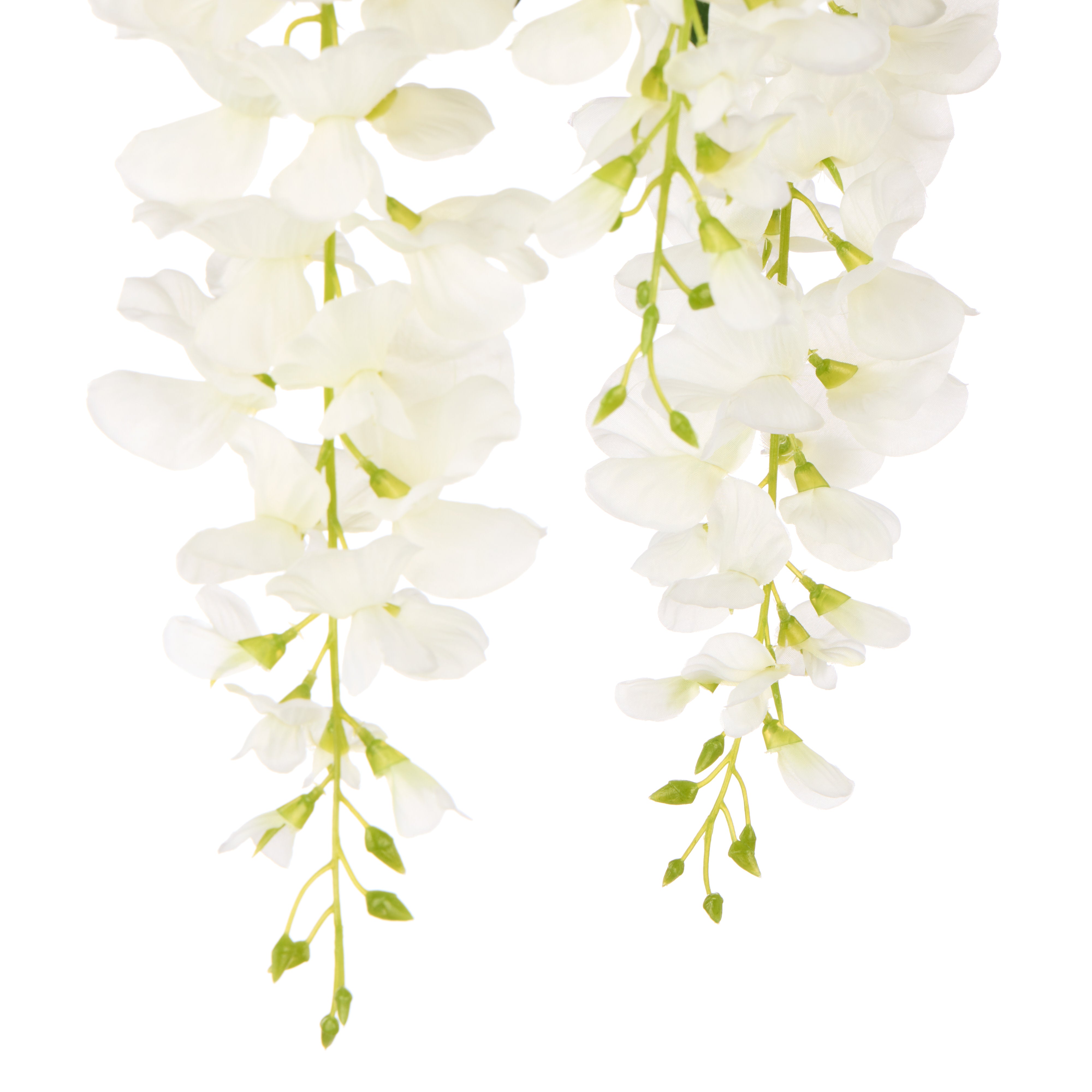 Rogue Wisteria Spray White