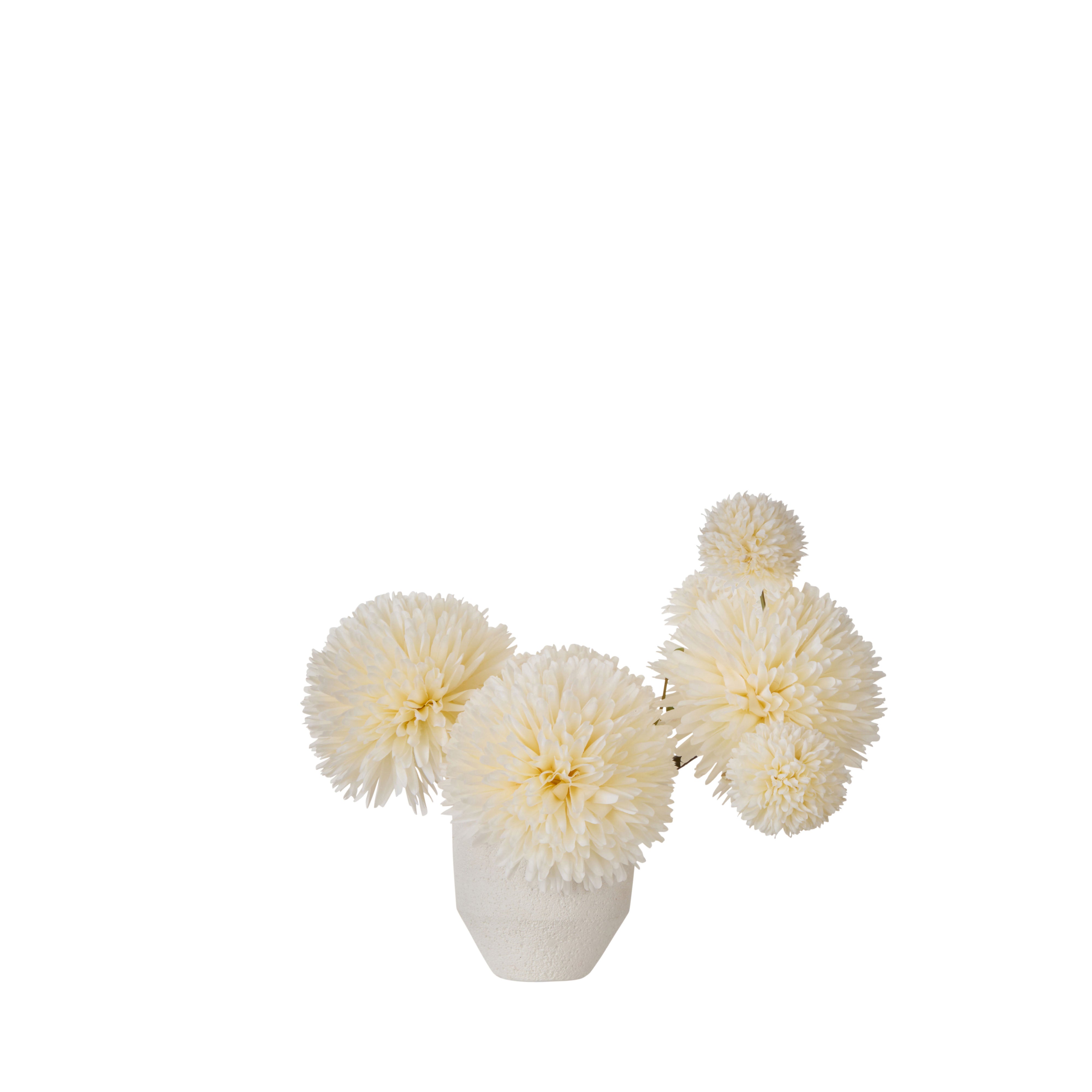 Rogue Kiku Delos Vase Ivory