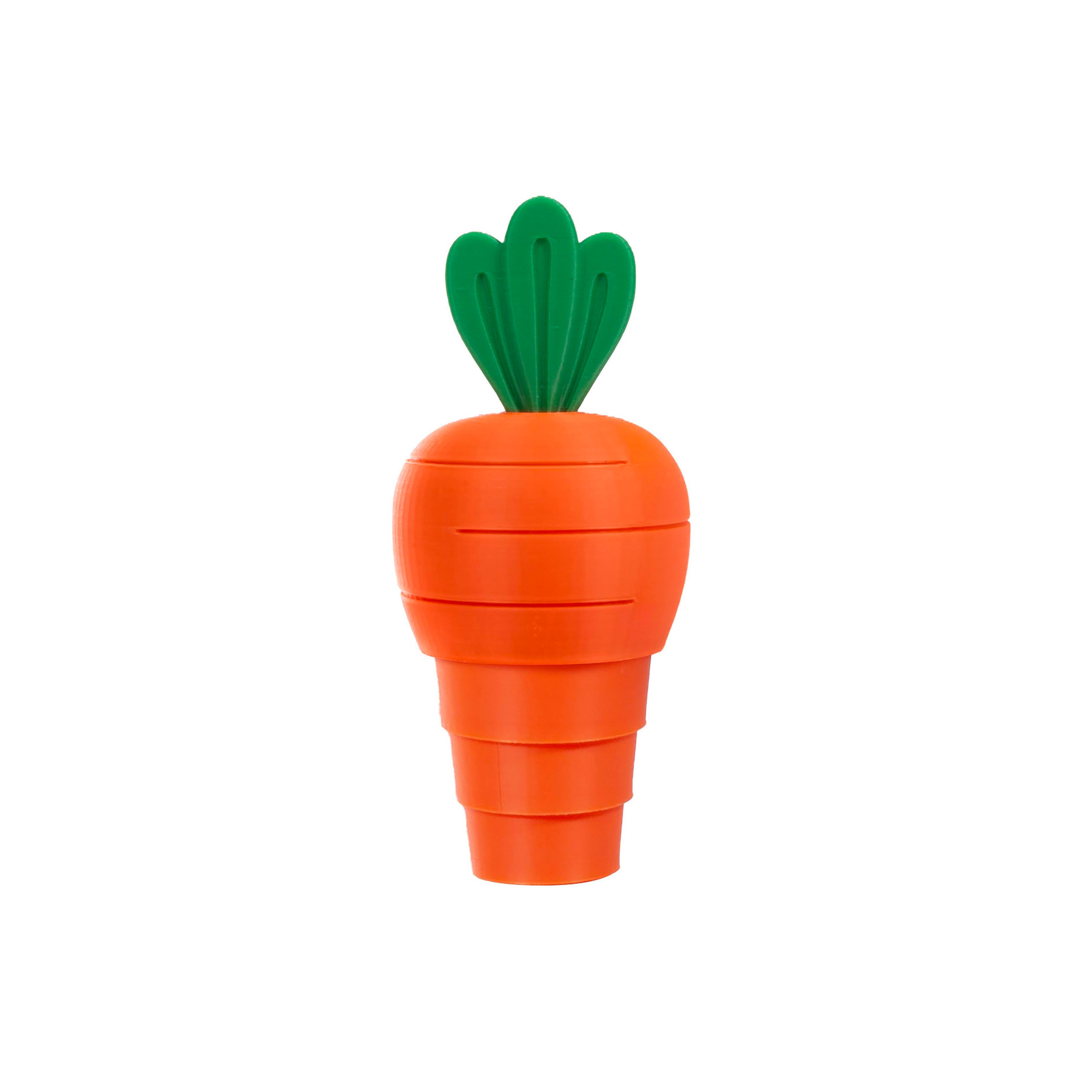 Discovery Zone 3D Sensory Carrot