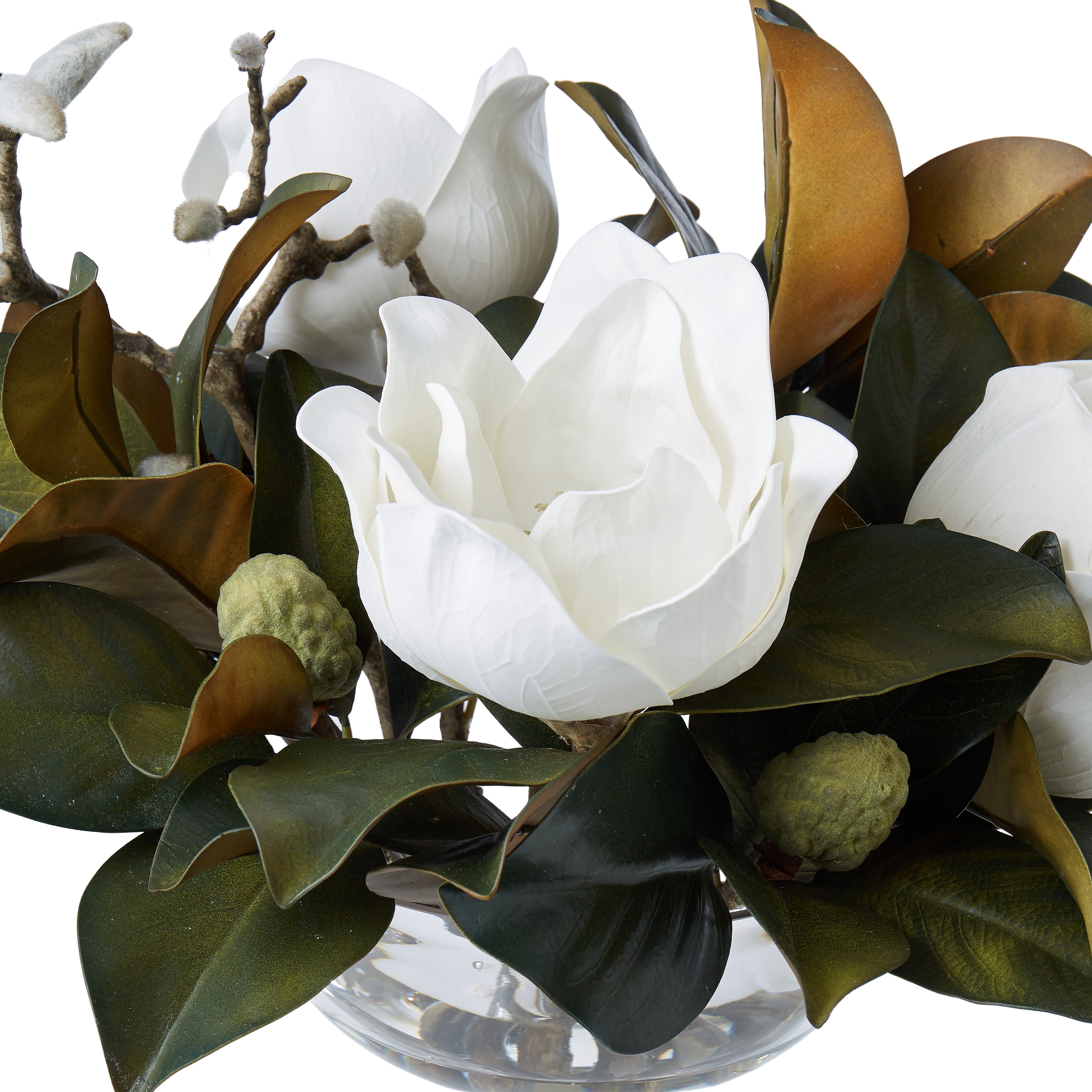 Rogue Magnolia Grandiflora - Dahlia Bowl White