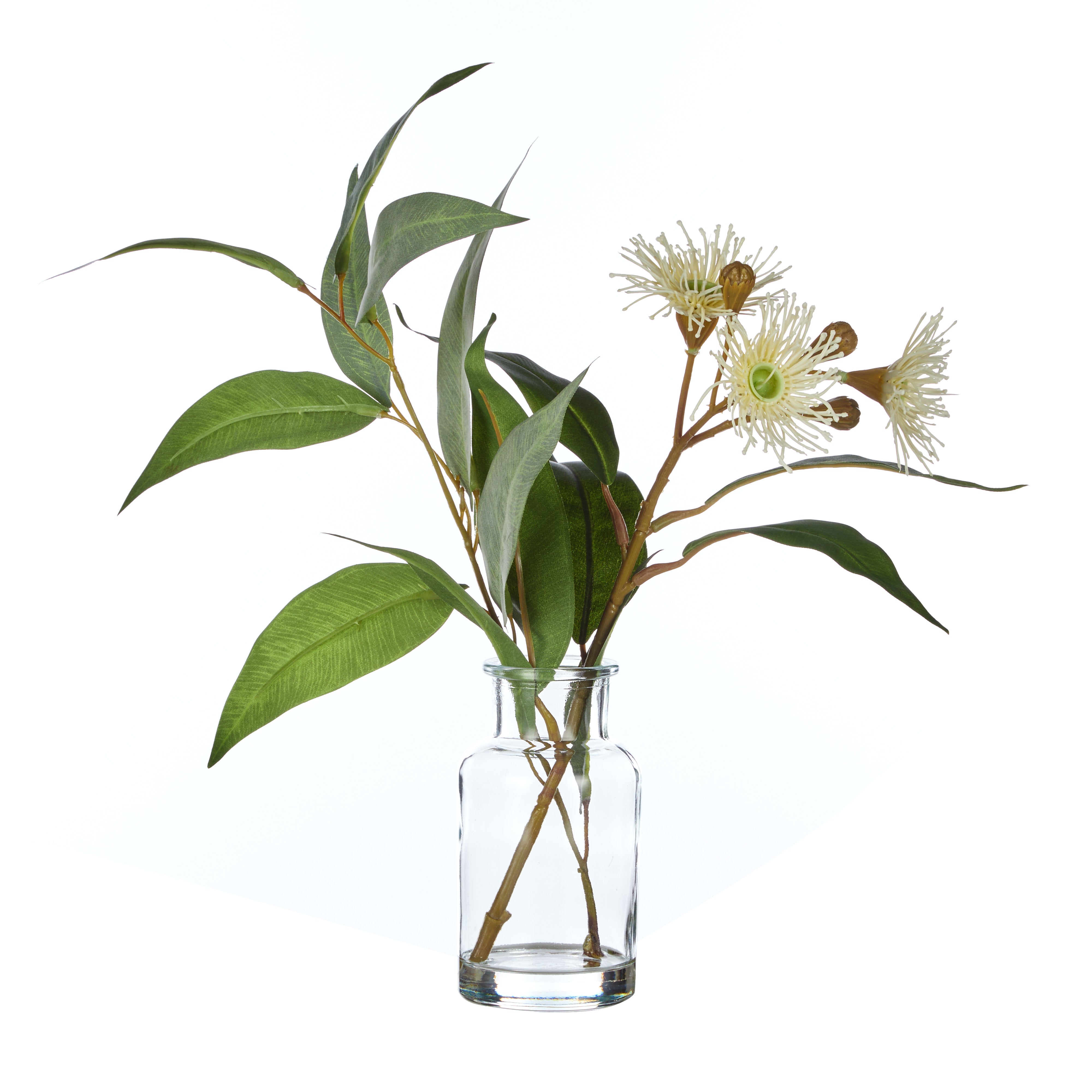 Rogue Eucalyptus Wattle Mix - Specimen Bottle 6pcs/2 Assorted Green & Glass