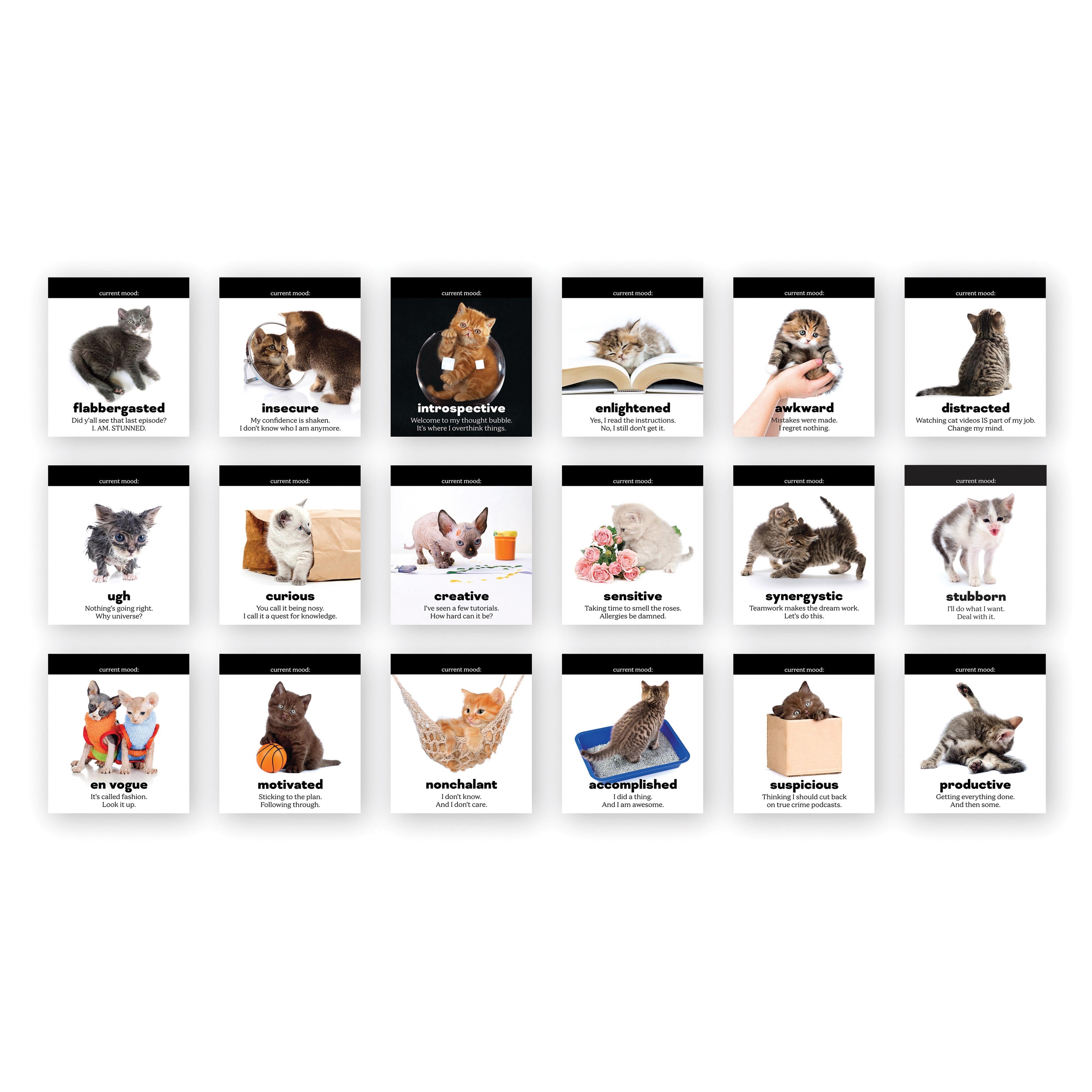 Fred Daily Cattitudes Desktop Flipbook Multi-Coloured