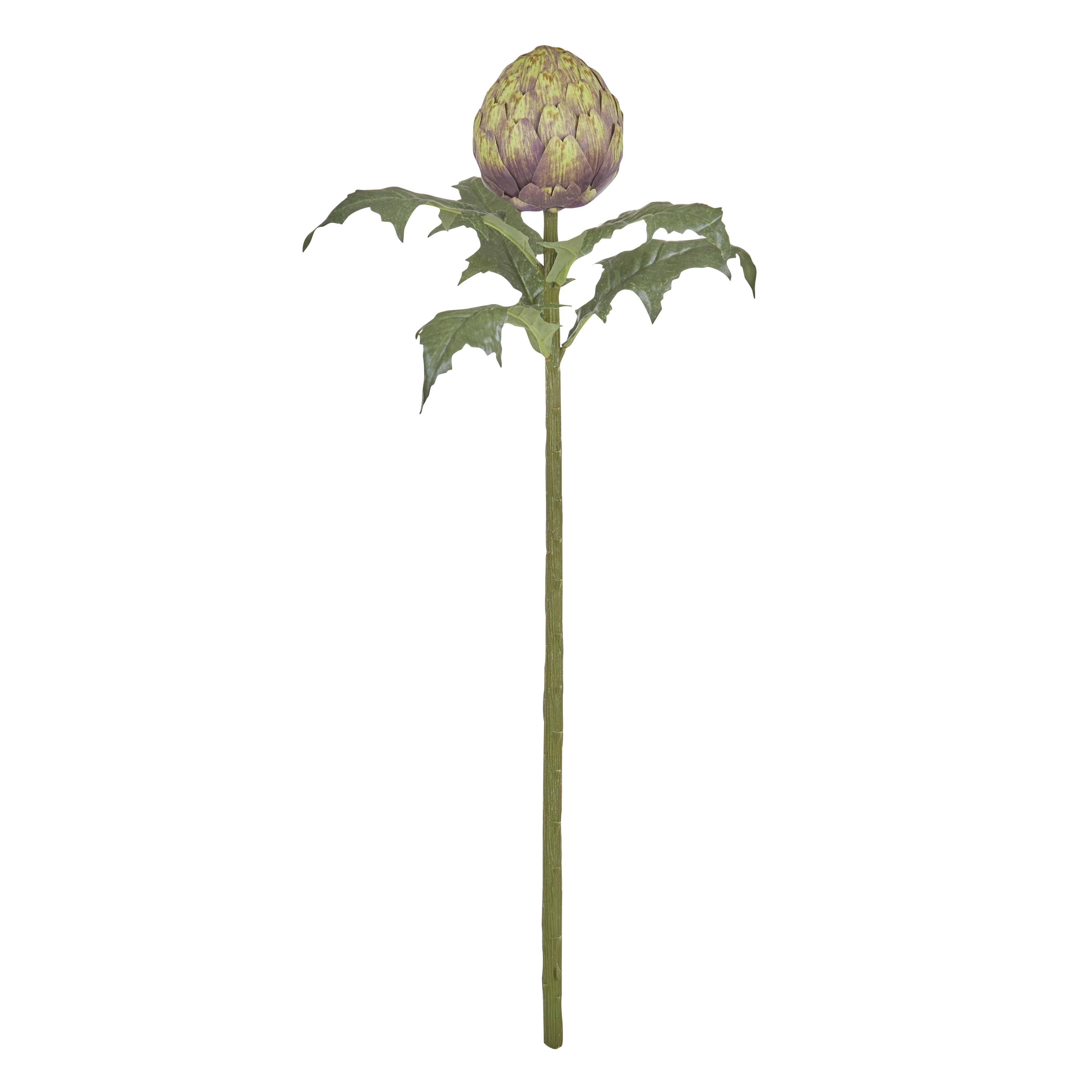 Rogue Artichoke Stem