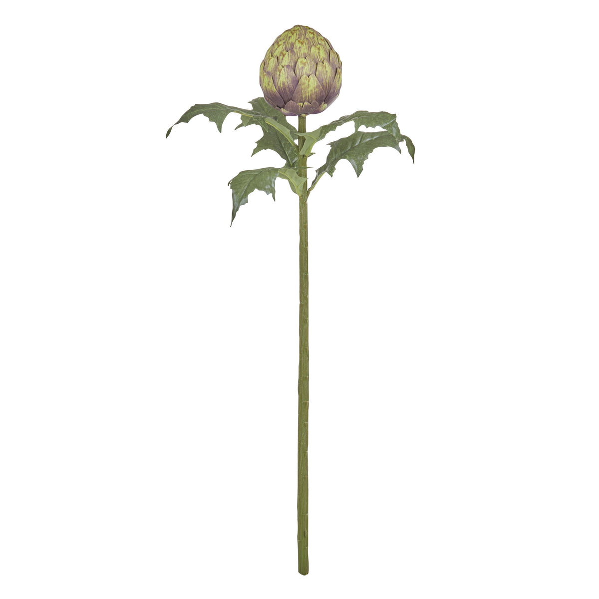 Rogue Artichoke Stem