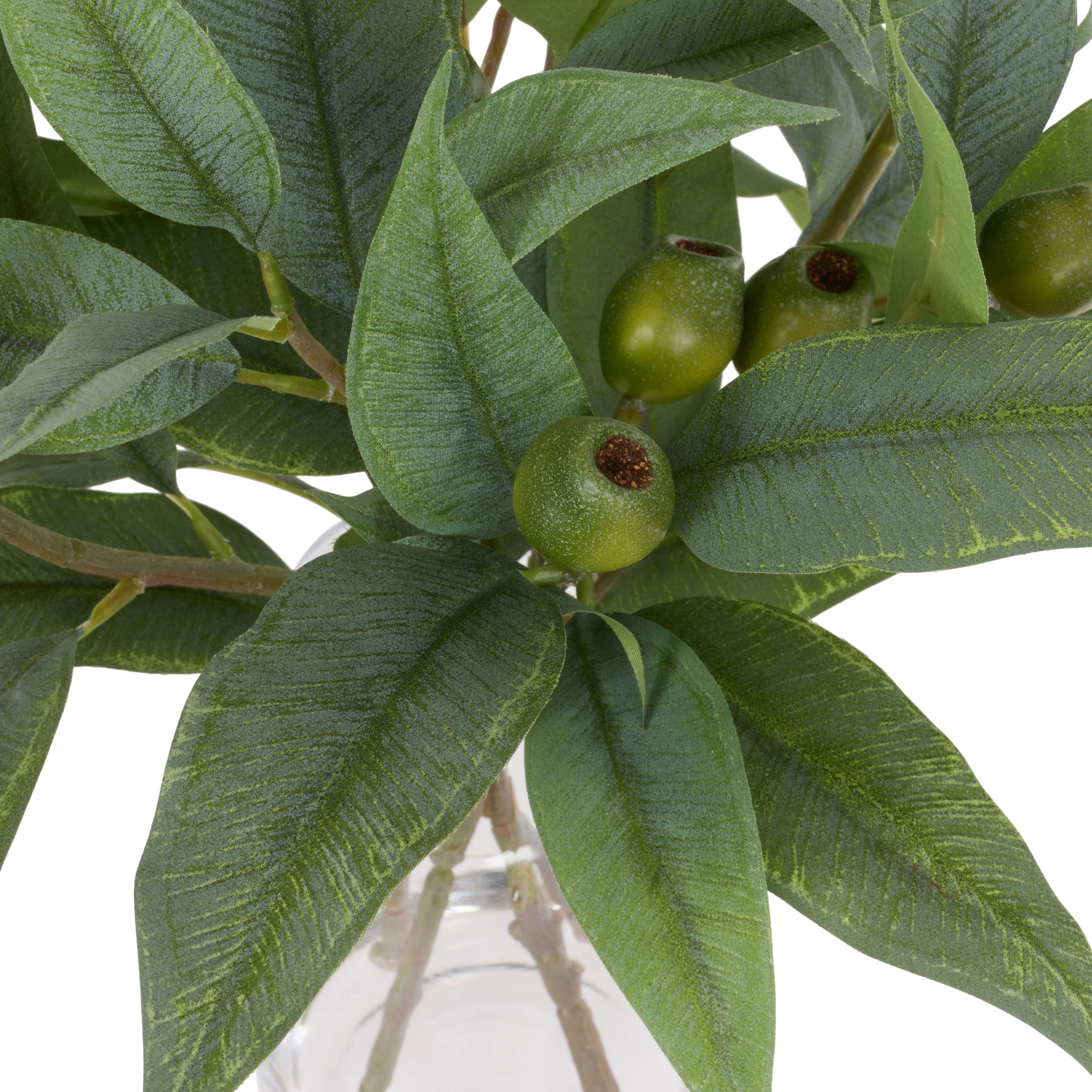 Rogue Gumnut Eucalyptus Mix - Pauline Vase