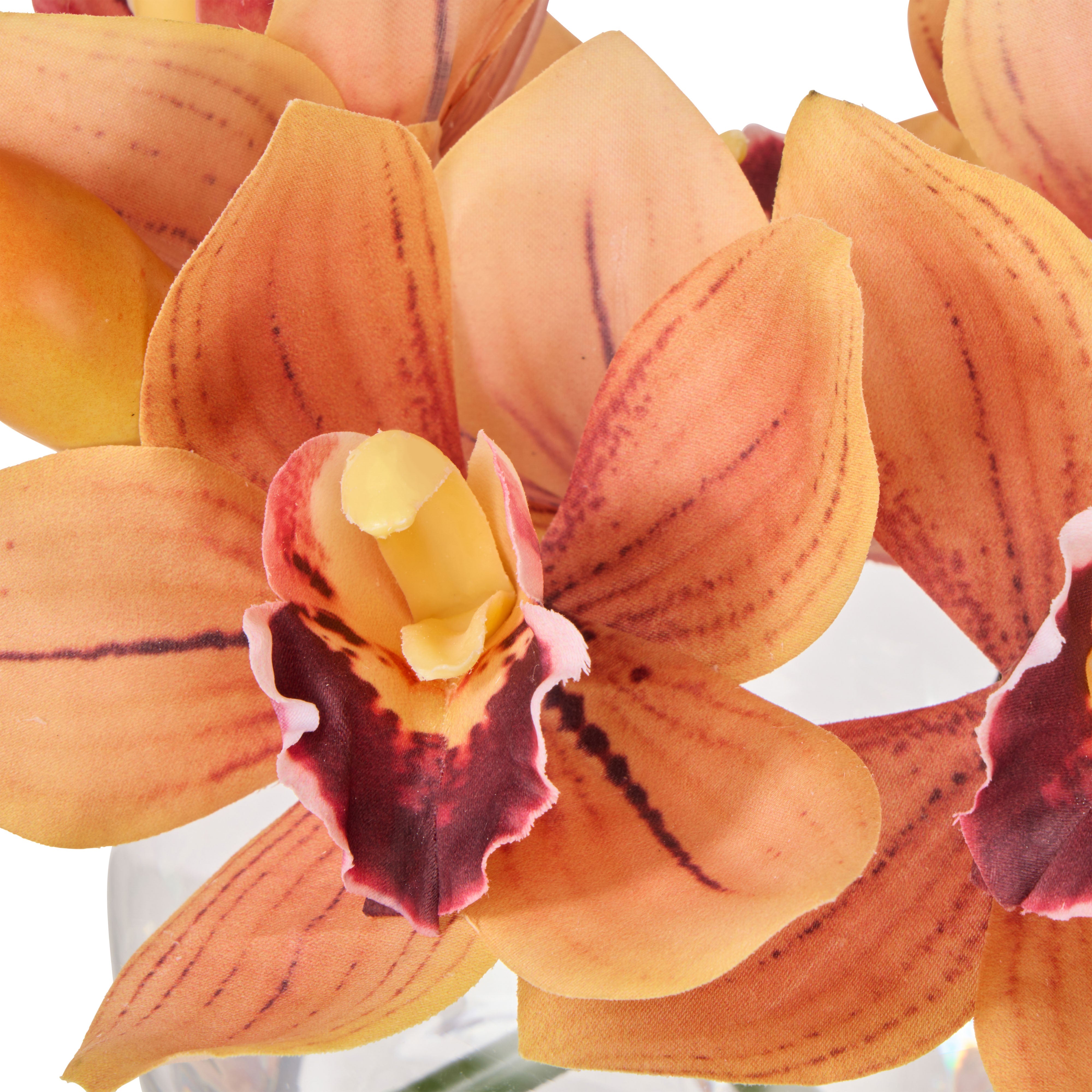 Rogue Cymbidium-Glass Vase Orange 20cm