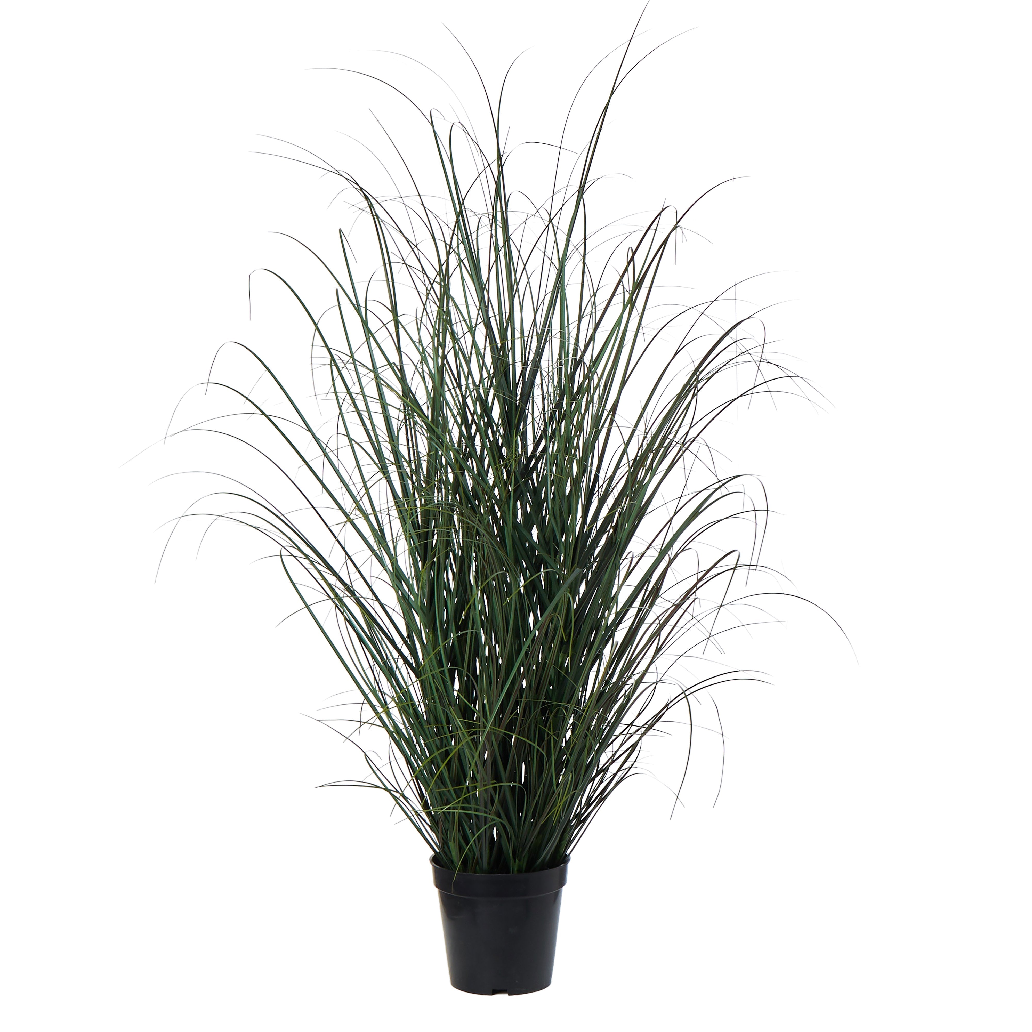 Rogue Grass Plant - Garden Pot Green 90cm