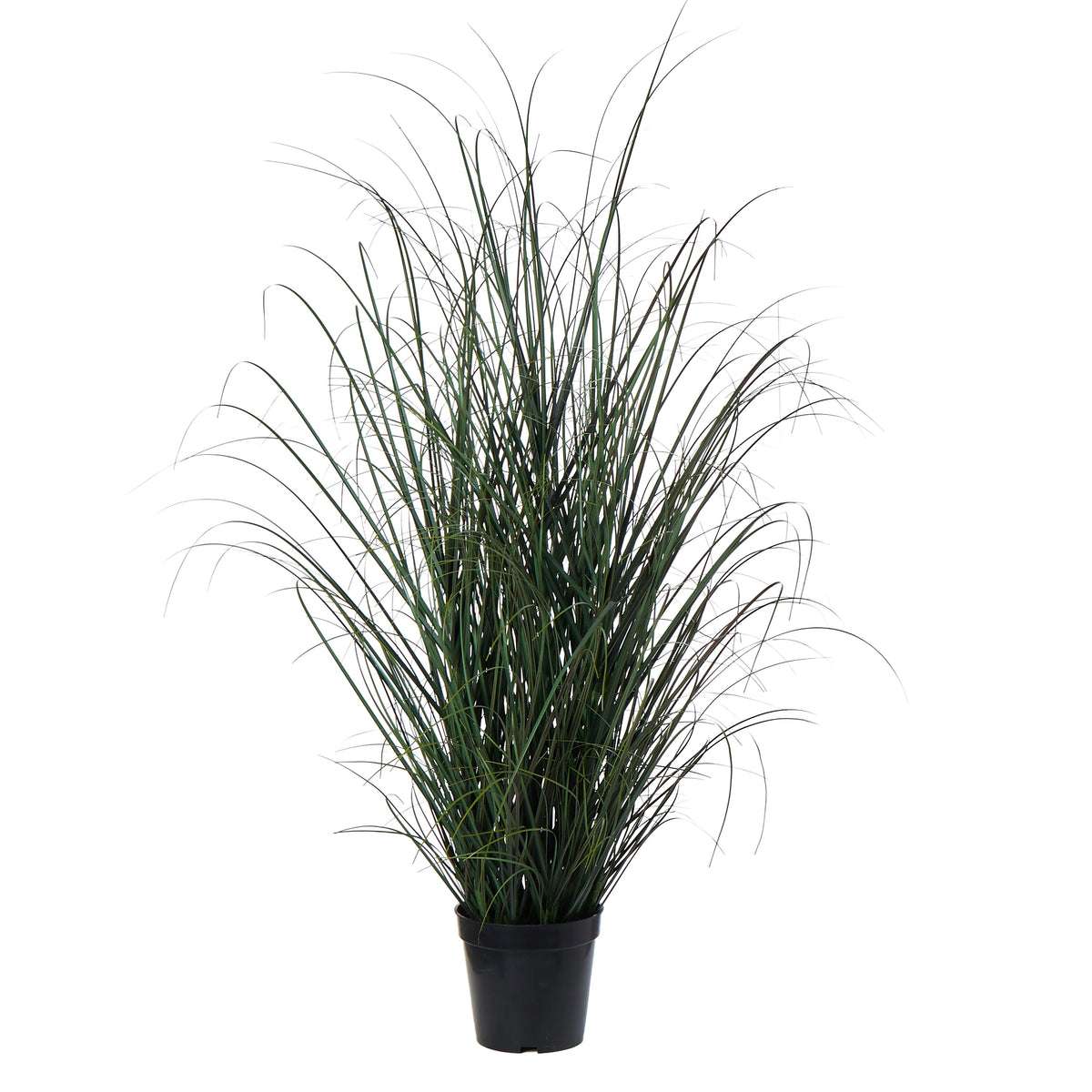 Rogue Grass Plant - Garden Pot Green 90cm