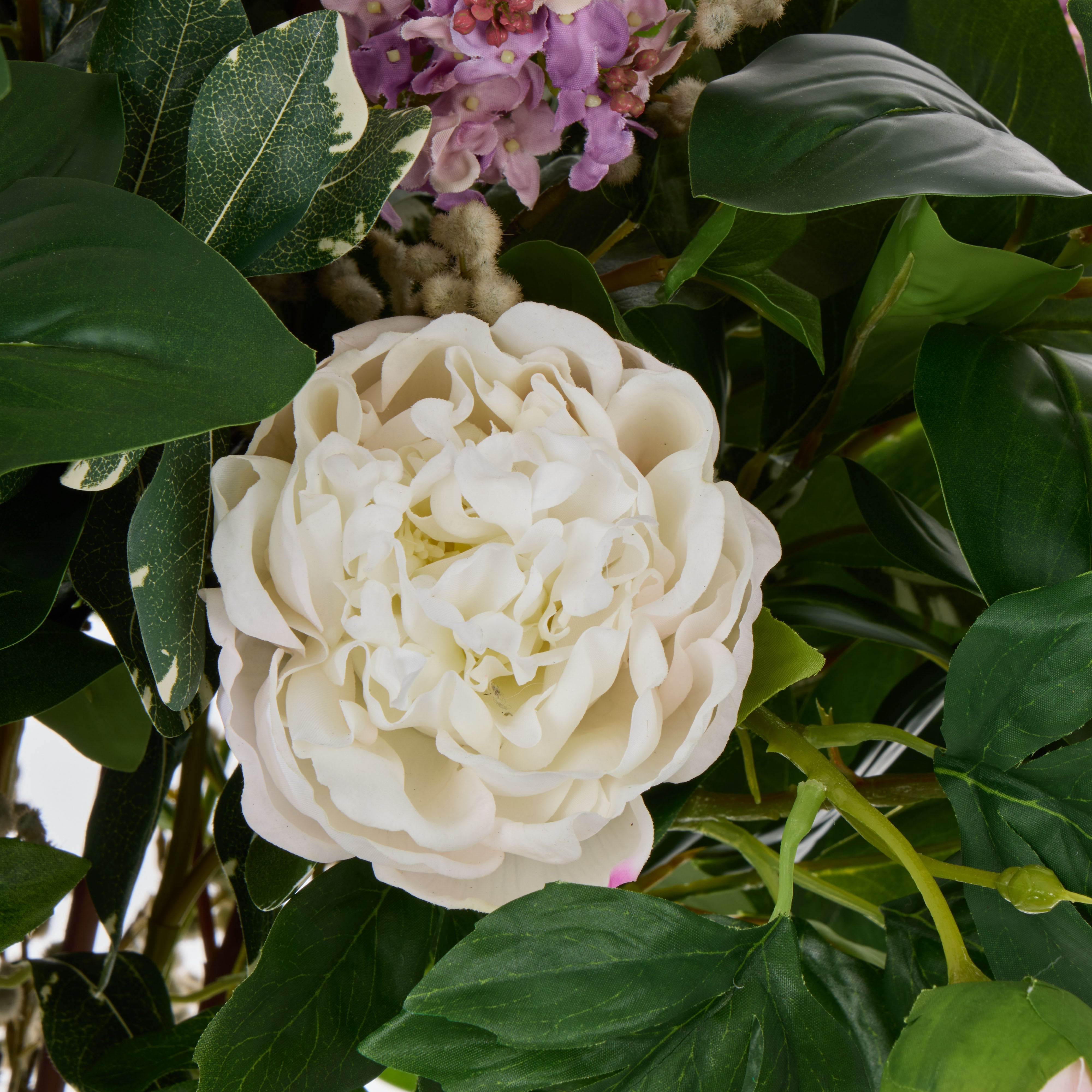 Rogue Lilac Peony Garden Mix - Cindy Purple & White