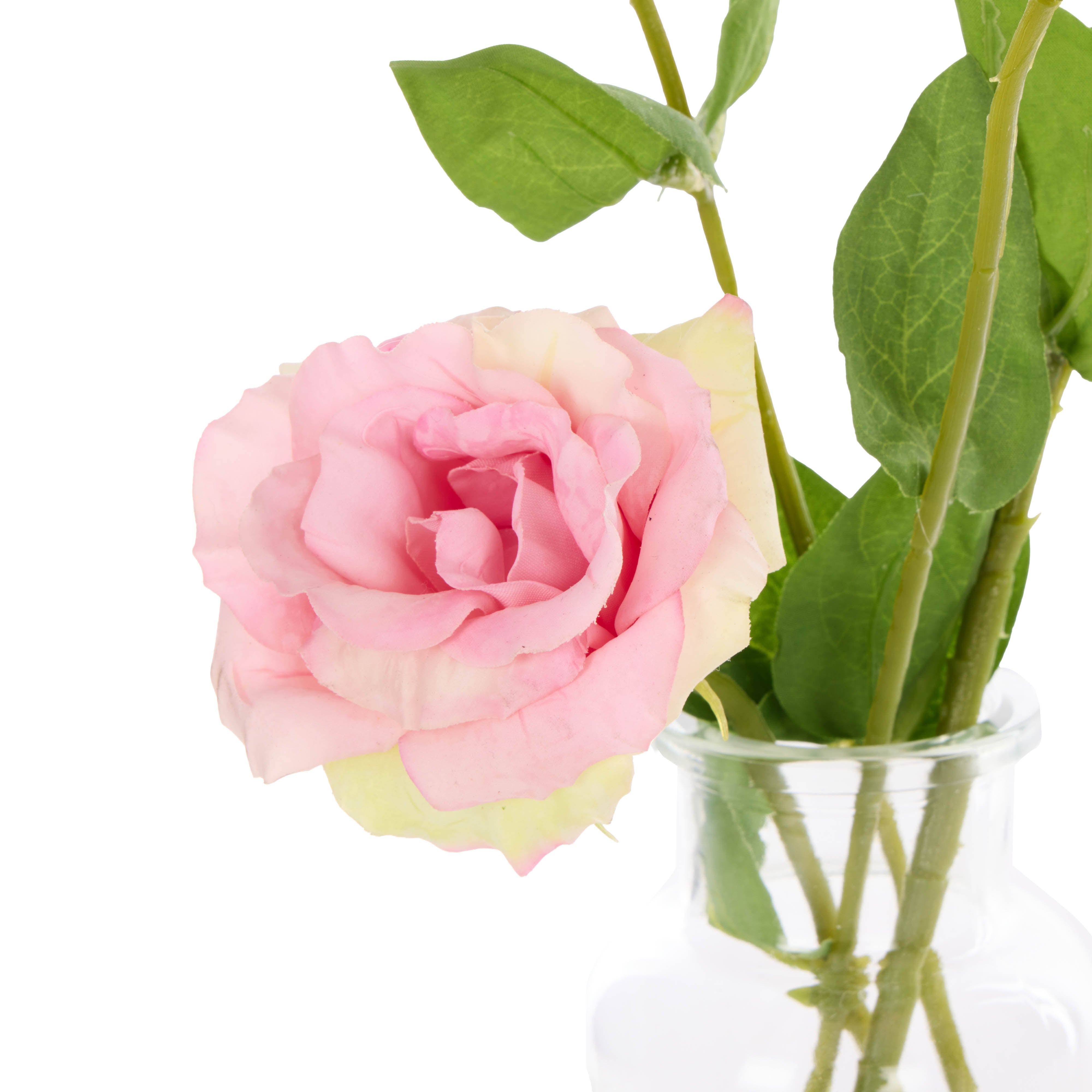 Rogue Lisianthus - Specimen Glass Vase Pink