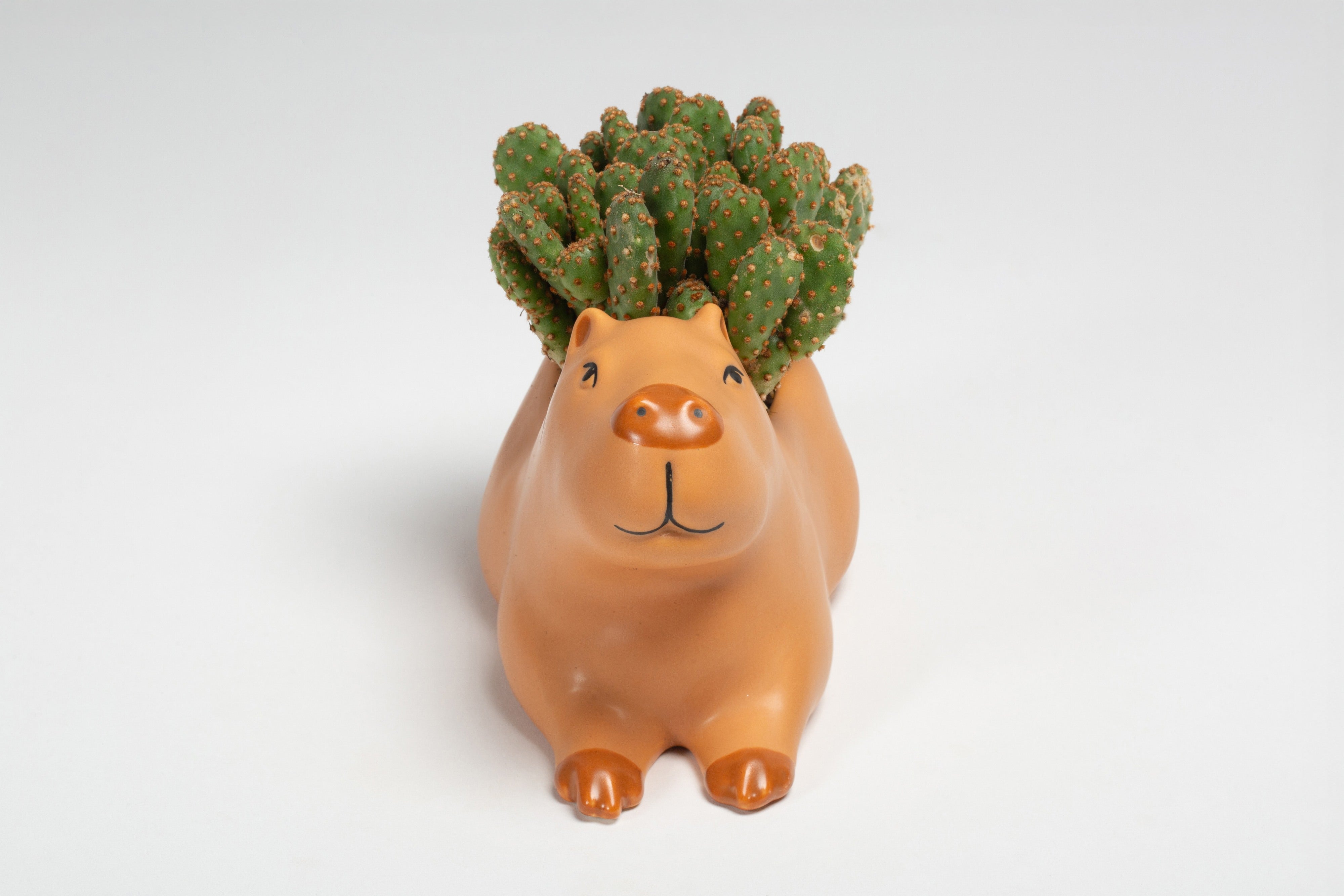 Kikkerland Cappy the Capybara Planter Large Brown