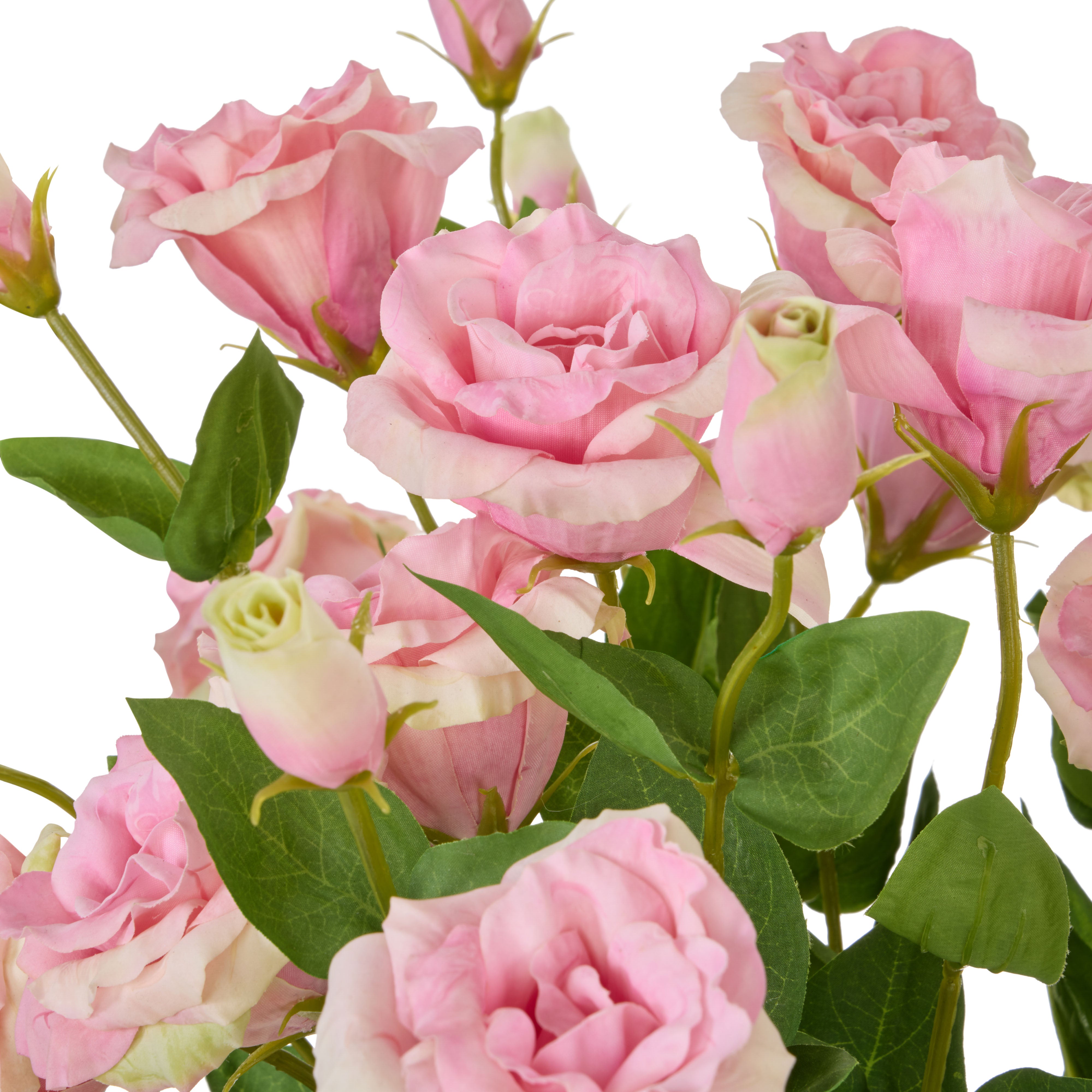 Rogue Lisianthus Claire Vase