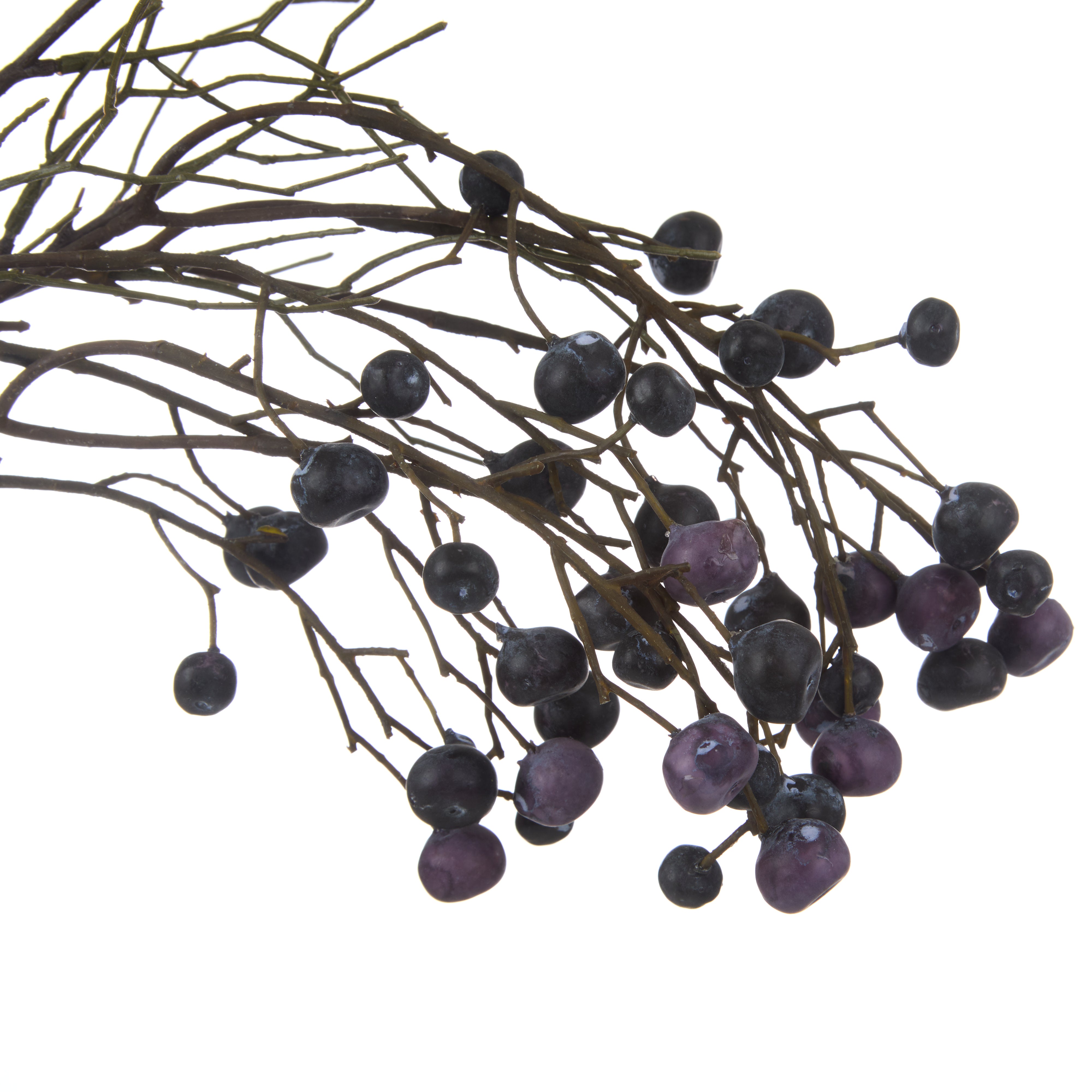 Rogue Wild Berry Spray 17cm