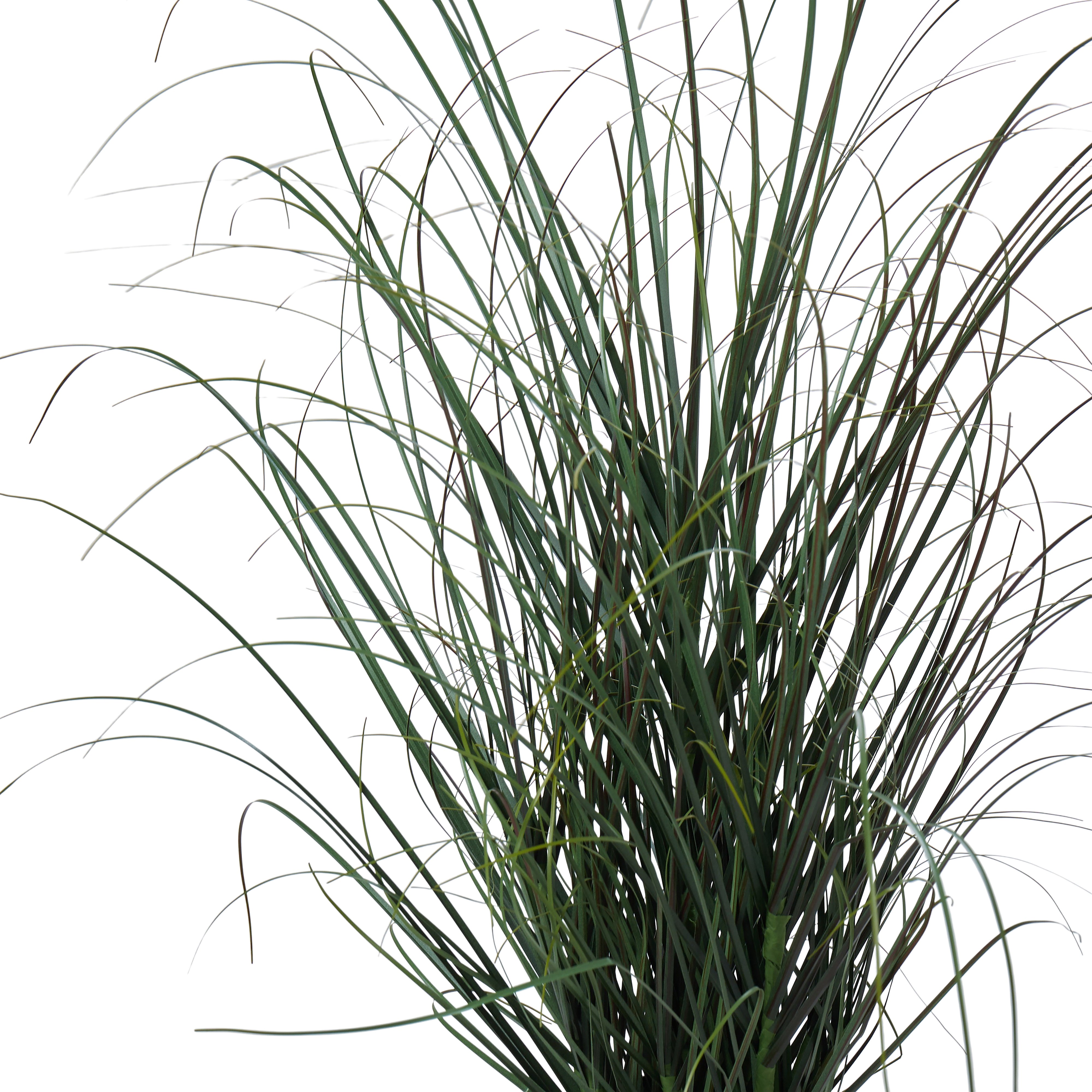 Rogue Grass Plant - Garden Pot Green 68cm