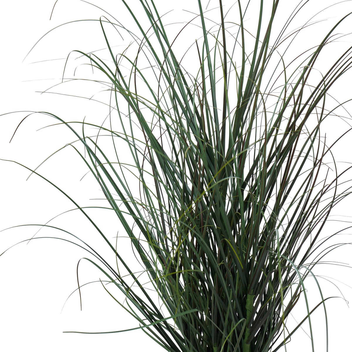 Rogue Grass Plant - Garden Pot Green 68cm