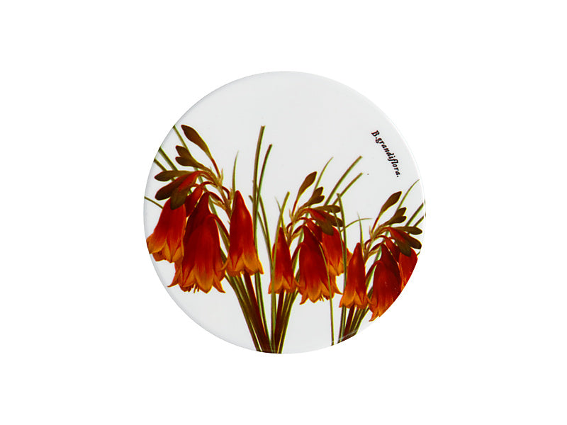 Maxwell & Williams Royal Botanic Gardens Australian Botanics Ceramic Round Coaster Christmas Bells 9.5cm
