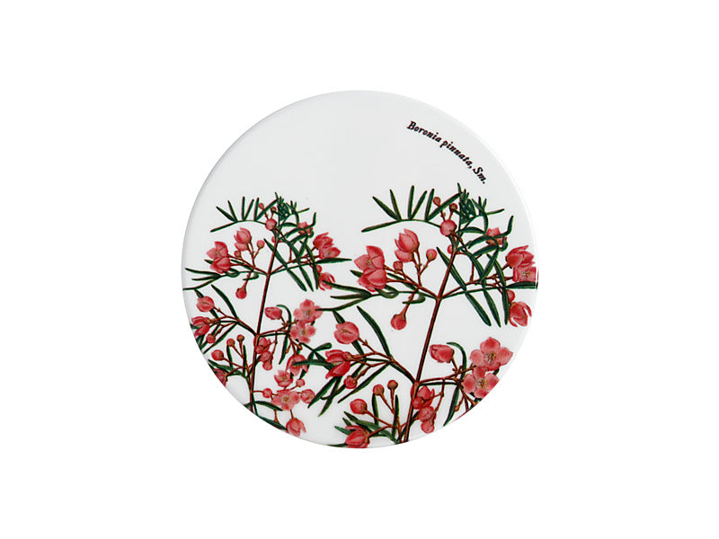 Maxwell & Williams Royal Botanic Gardens Australian Botanics Ceramic Round Coaster Boronia 9.5cm