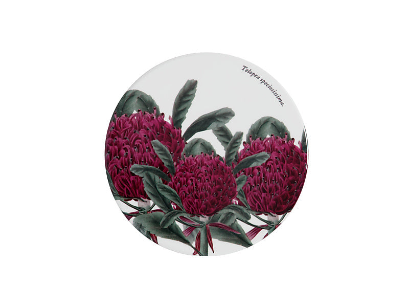 Maxwell & Williams Royal Botanic Gardens Australian Botanics Ceramic Round Coaster Telopea 9.5cm