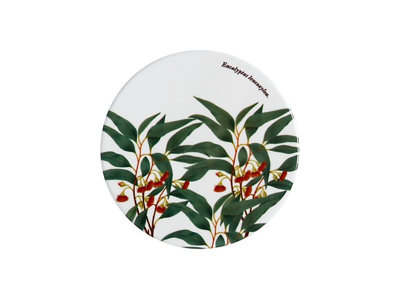 Maxwell & Williams Royal Botanic Gardens Australian Botanics Ceramic Round Coaster Flowering Gum 9.5cm