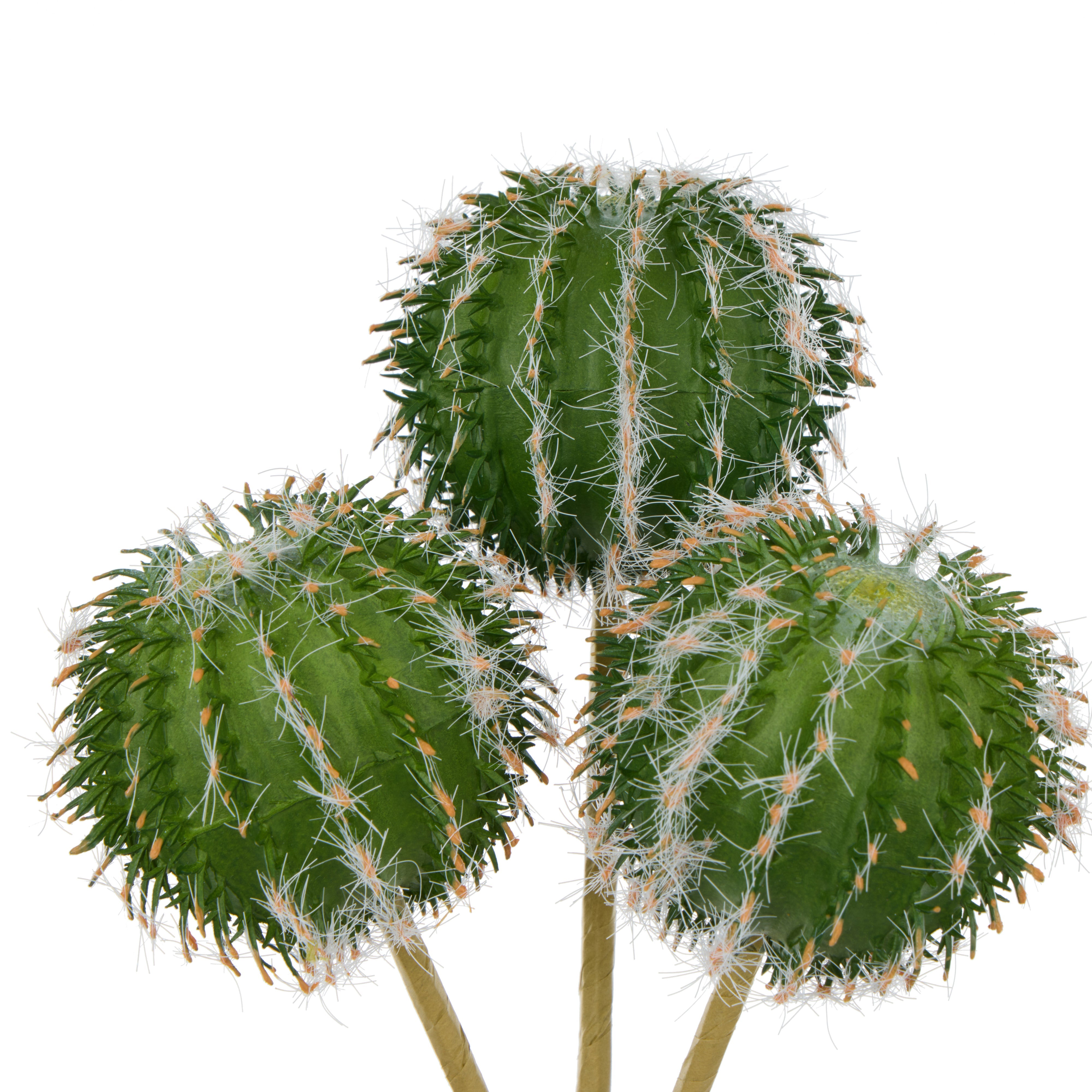 Rogue Barrel Cactus Spray