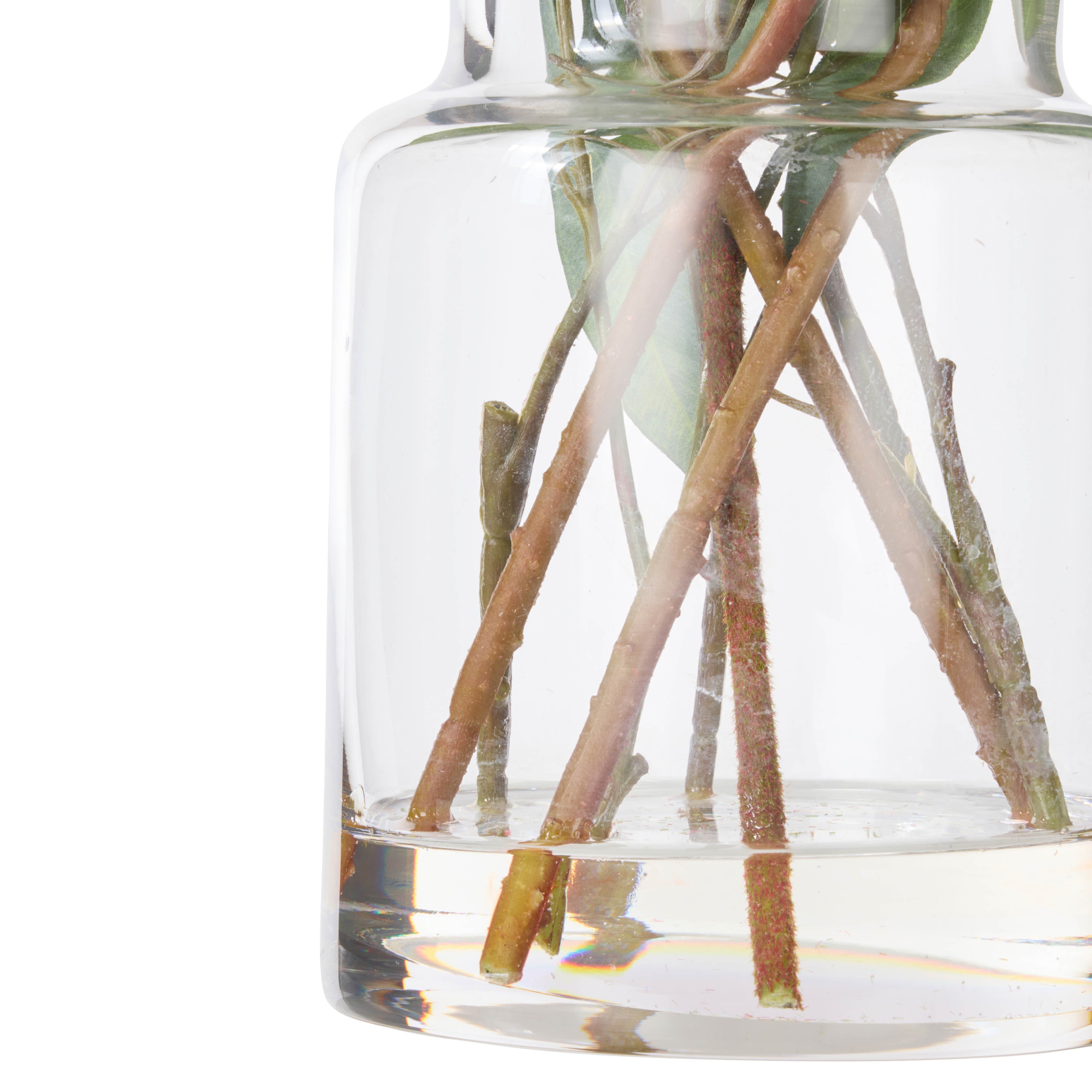 Rogue Pitaya Kangaroo Paw - Pail Vase Cream & Green