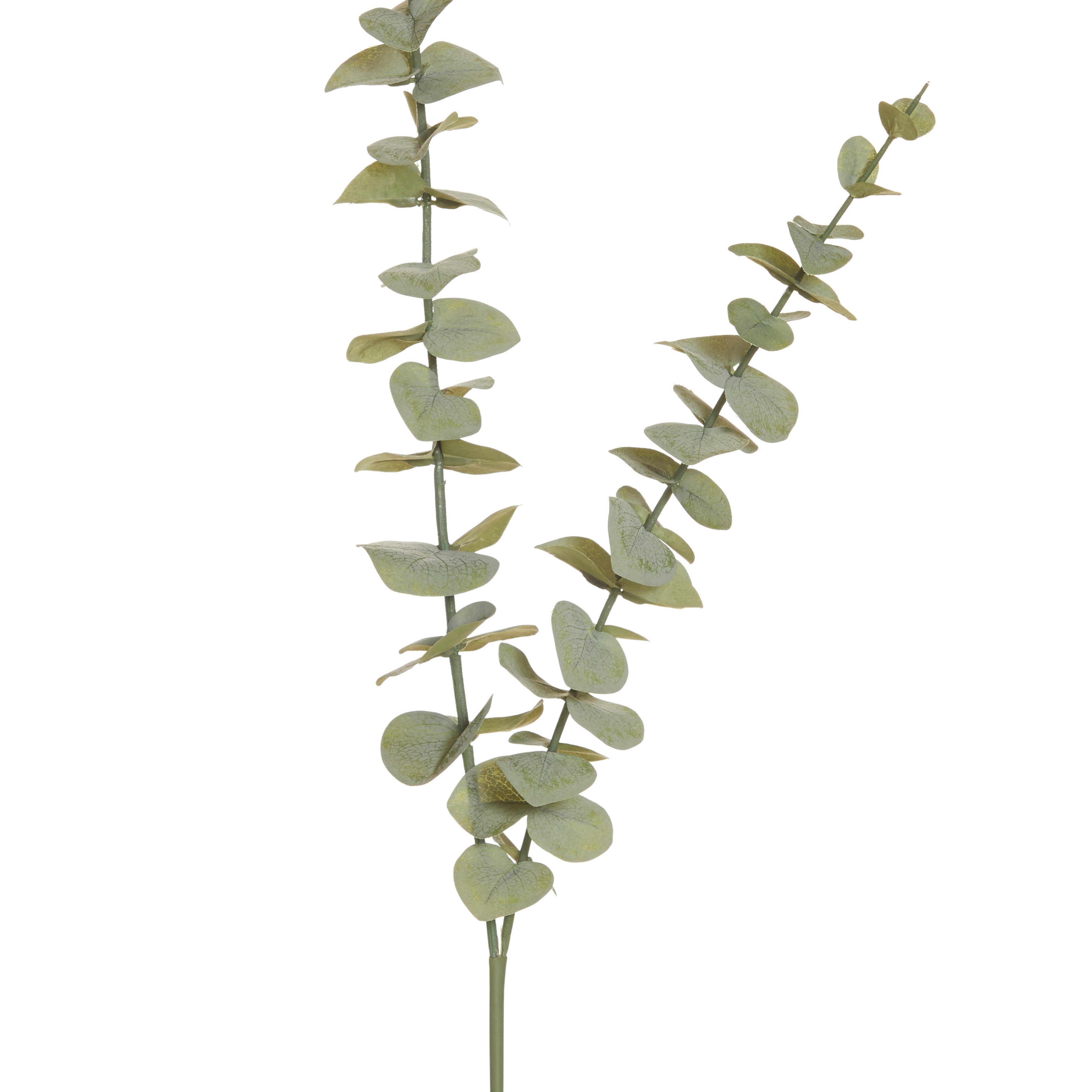 Rogue Eucalyptus Spray Green 84cm