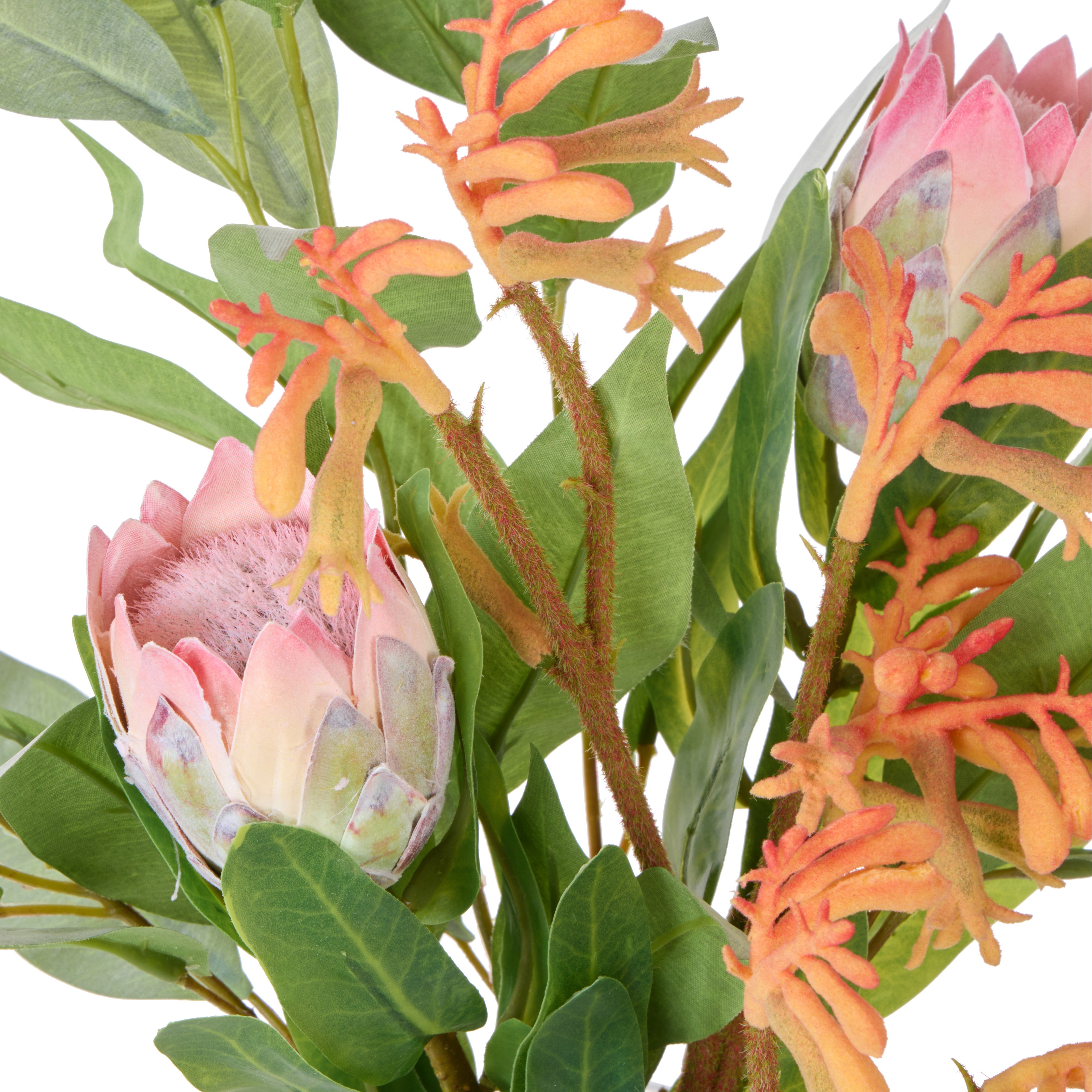 Rogue Pitaya Kangaroo Paw - Pauline Vase Pink & Yellow