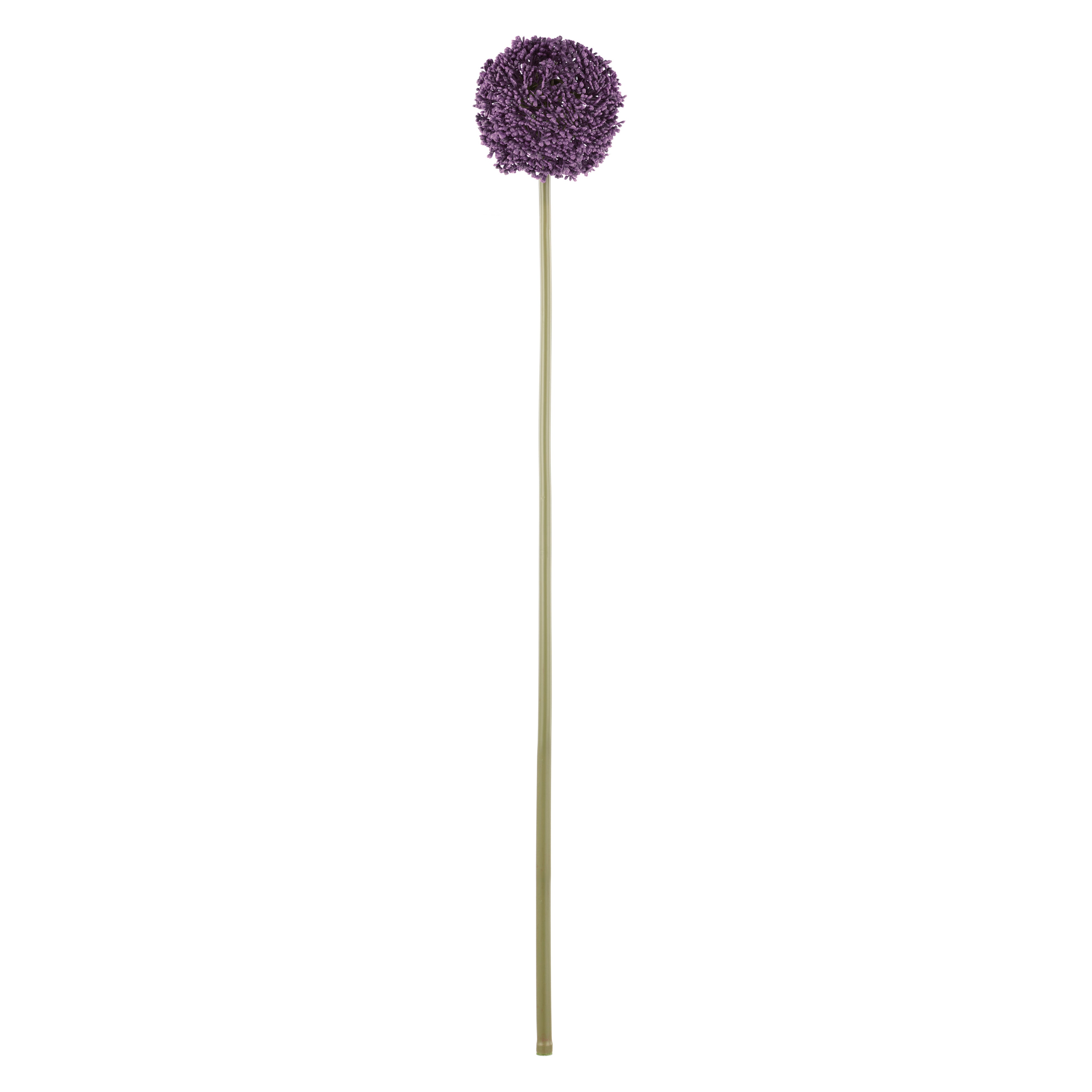 Rogue Allium Spray Grey Purple