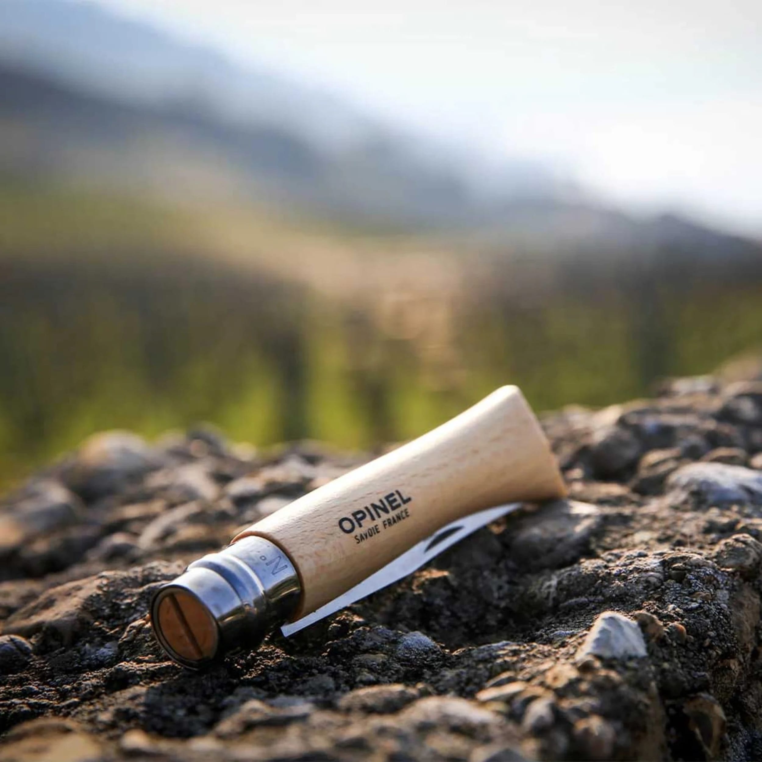 Opinel No.10 Stainless Steel Folding Knife Beech