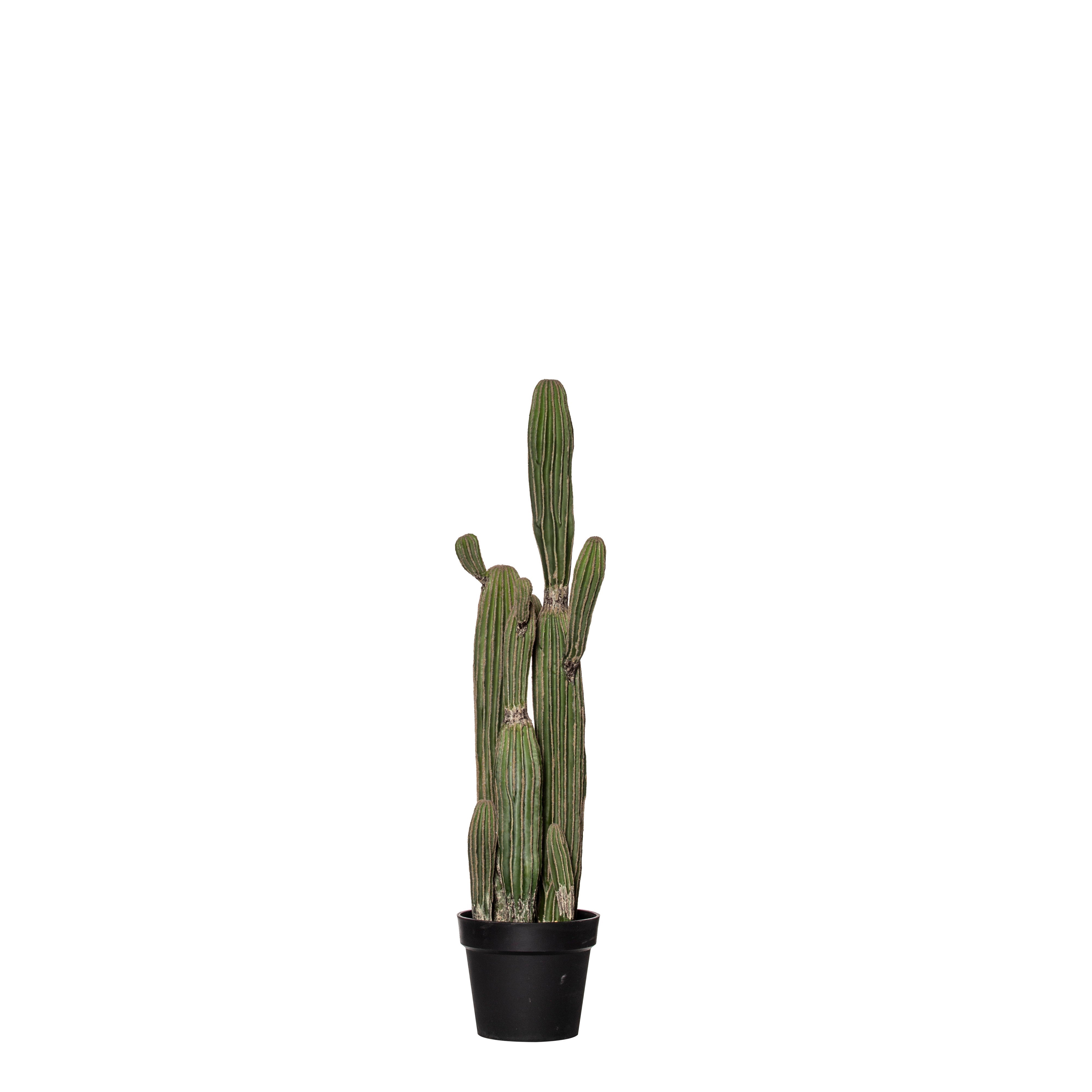 Rogue Saguaro Cactus - Garden Pot 91cm
