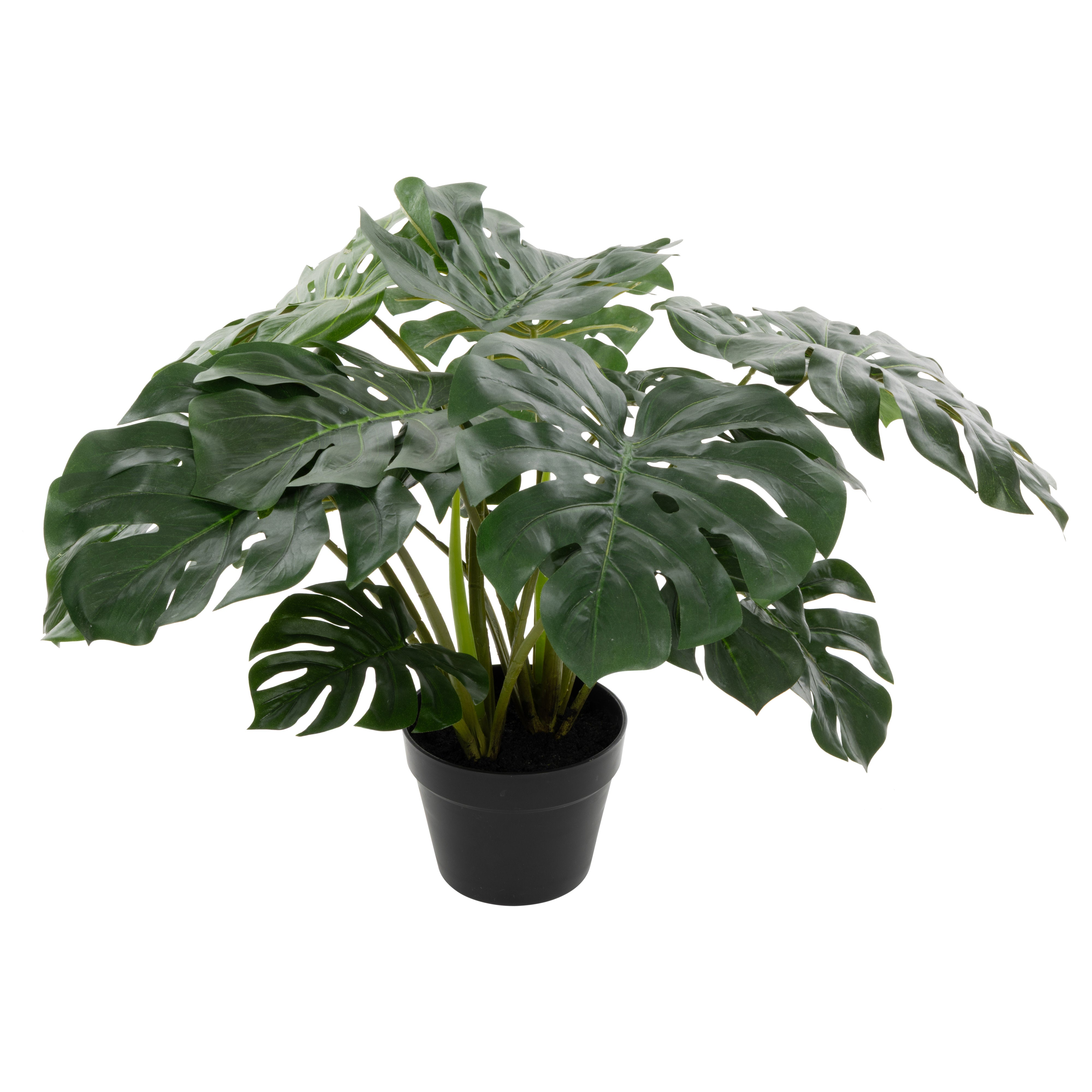 Rogue Monstera UV - Garden Pot 60cm