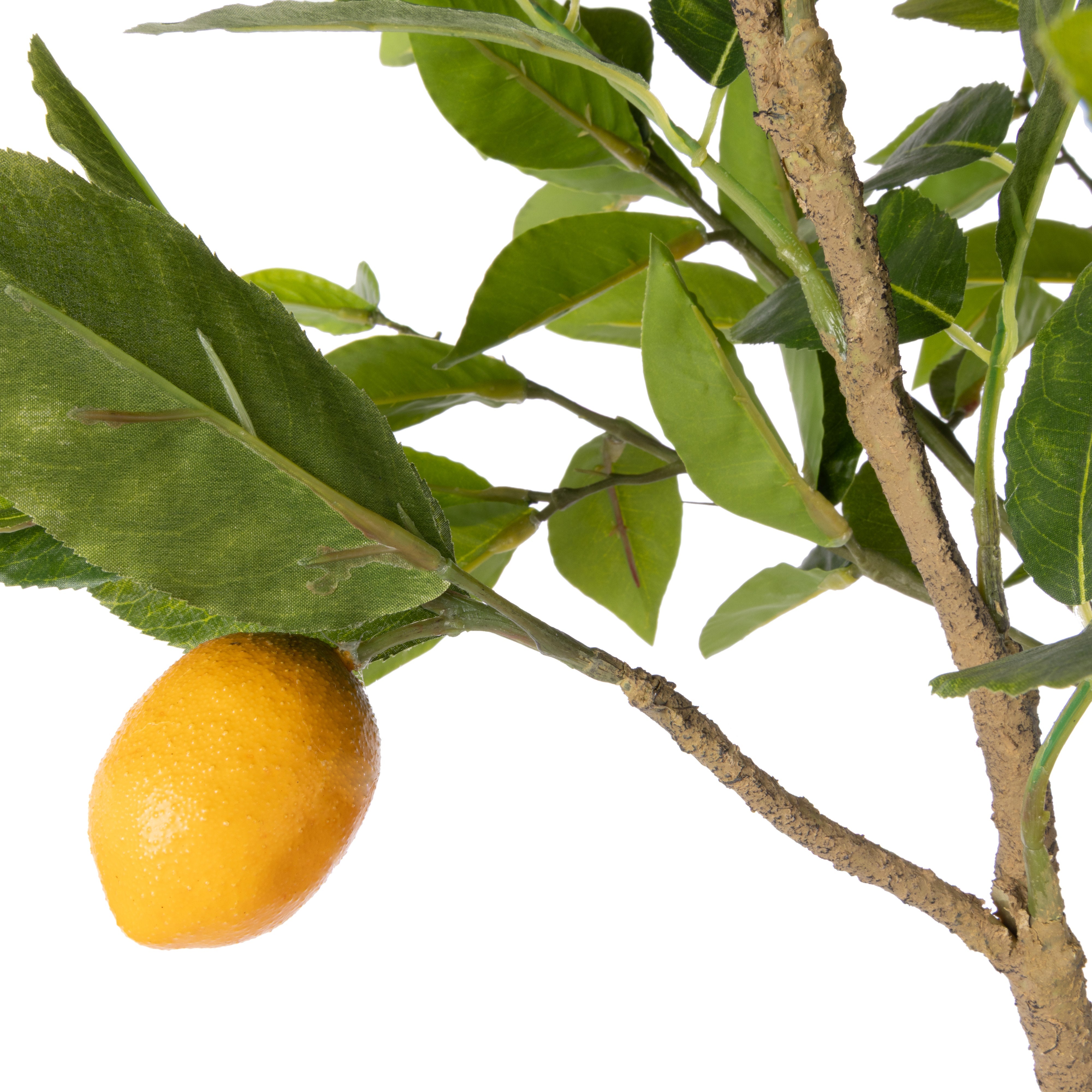 Rogue Lemon Spray - Rachel Vase