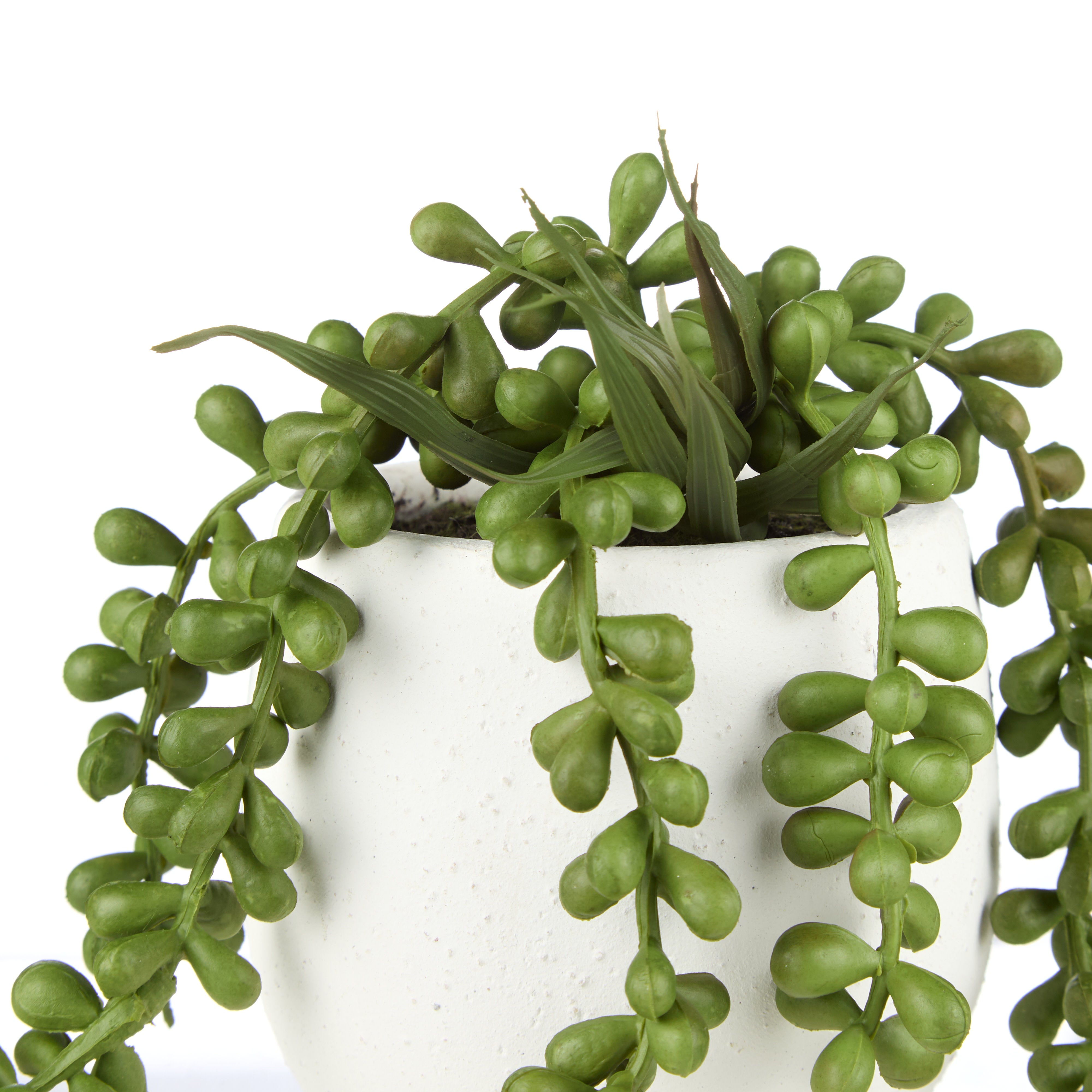 Rogue Hanging Pearls - Tub Pot Green & White 22cm