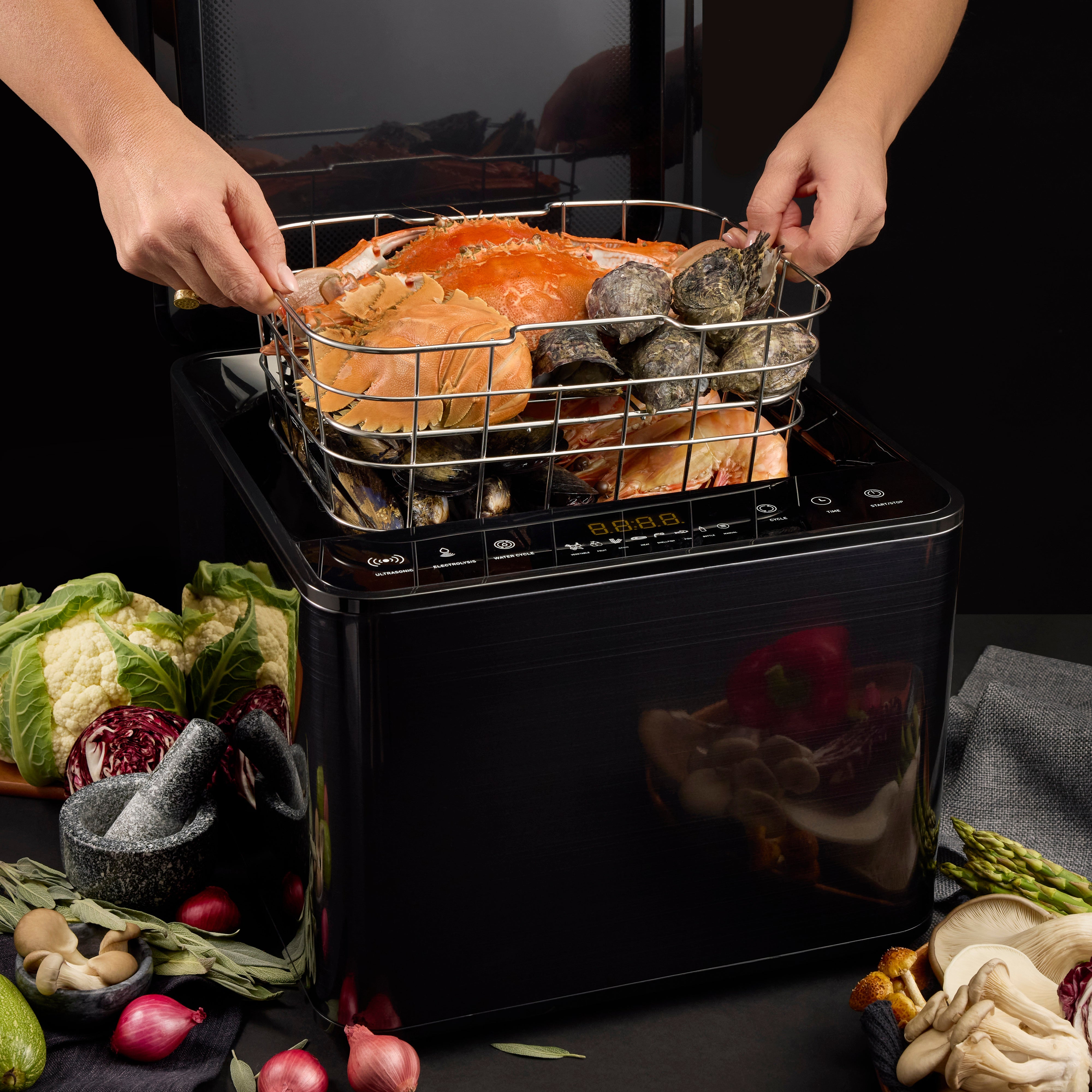 MasterPro XL 10L Deluxe Food Purifier & Ultrasonic Cleaner