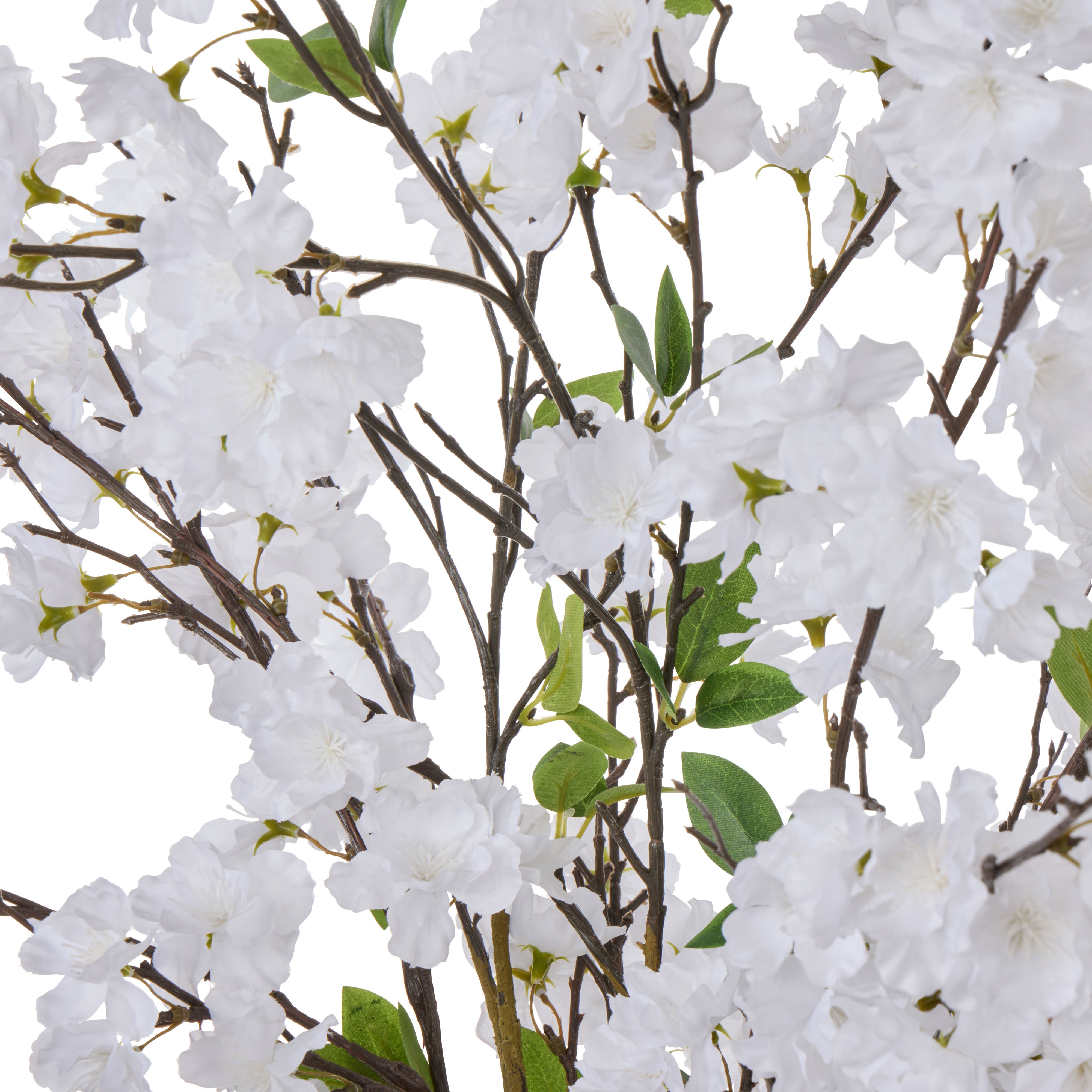 Rogue Cherry Blossom Alana Vase