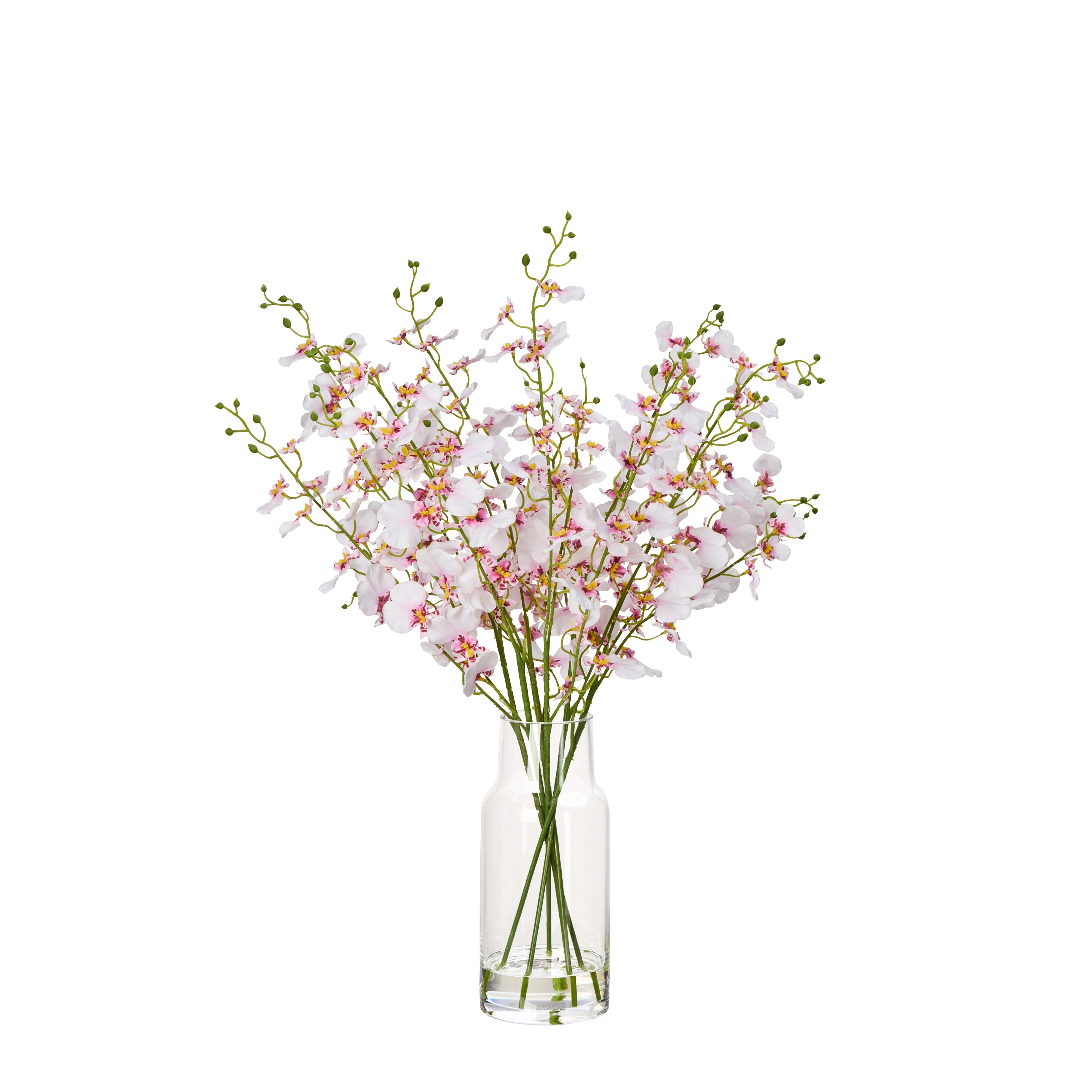 Rogue Dancing Orchid - Rachel Vase