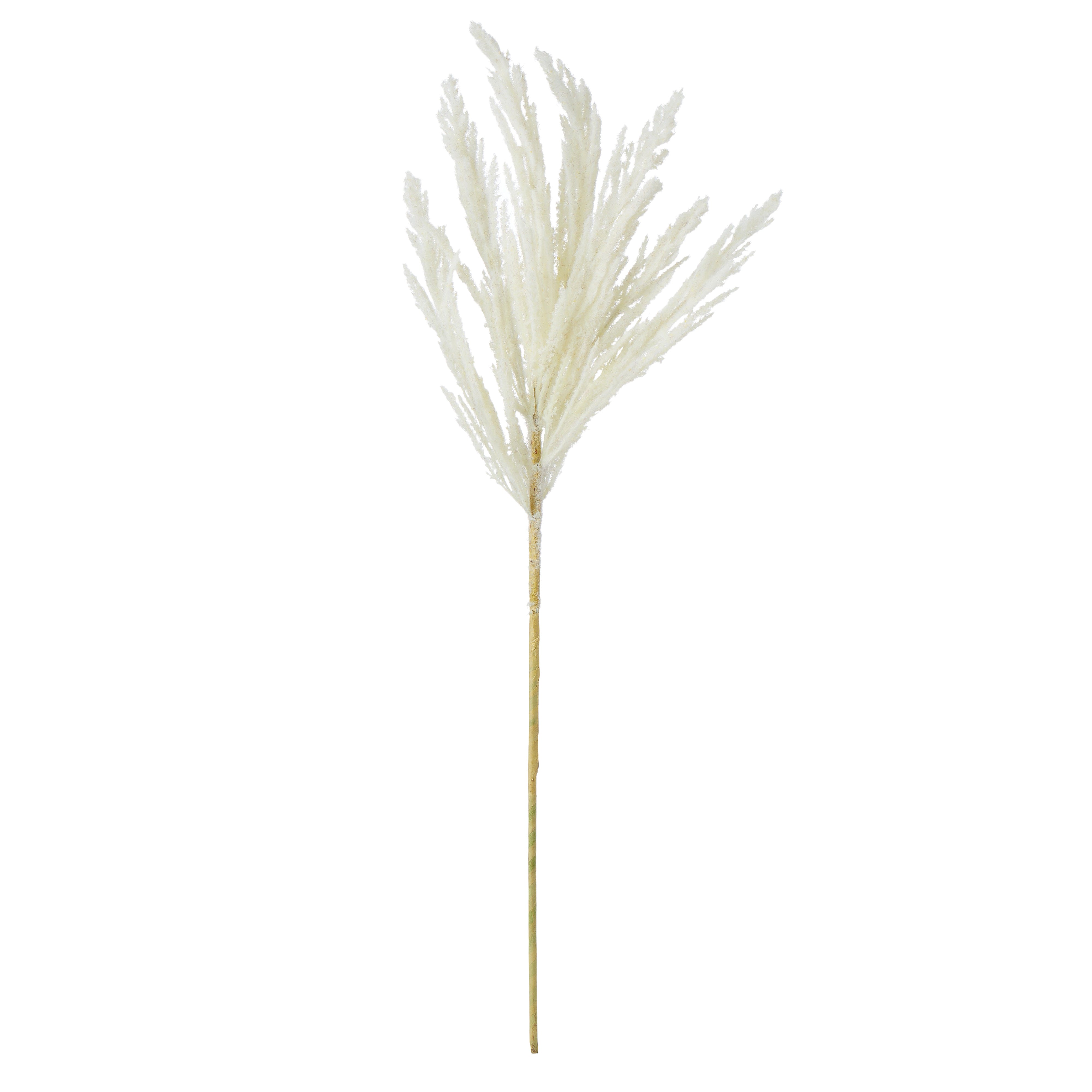 Rogue Pampas Spray Cream