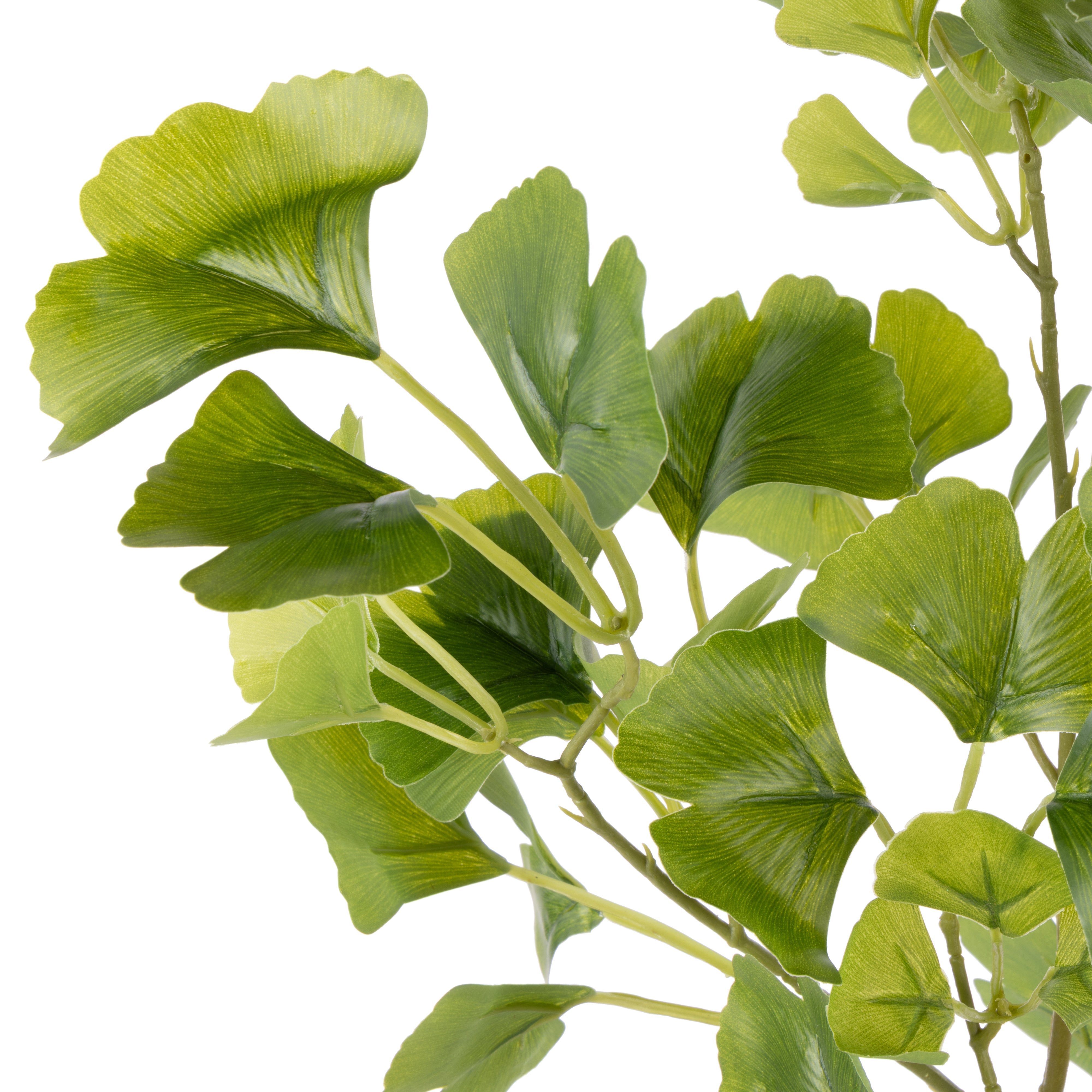 Rogue Ginkgo Mix - Neven Vase