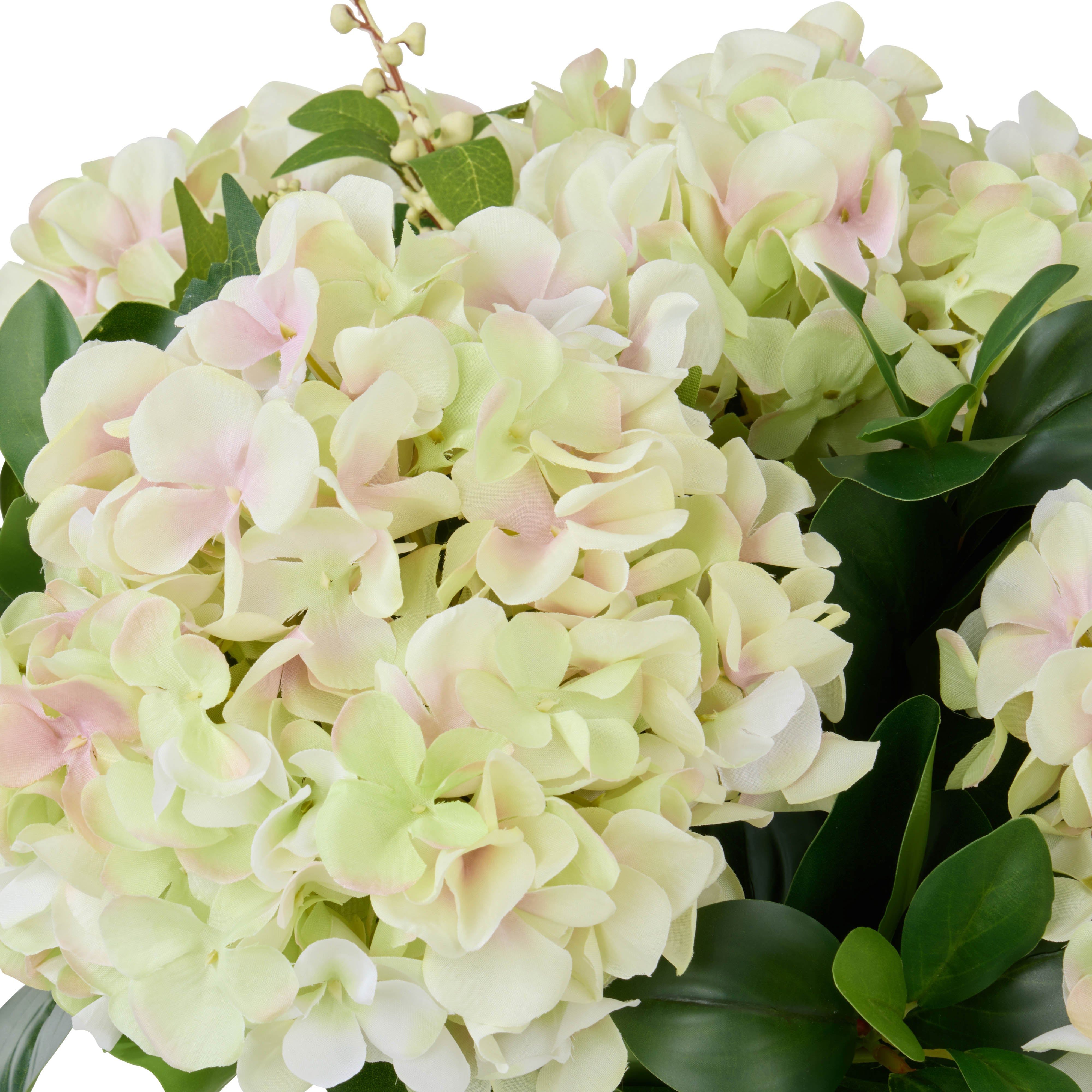 Rogue Hydrangea Nite Berry - Classic Bowl Green 40cm
