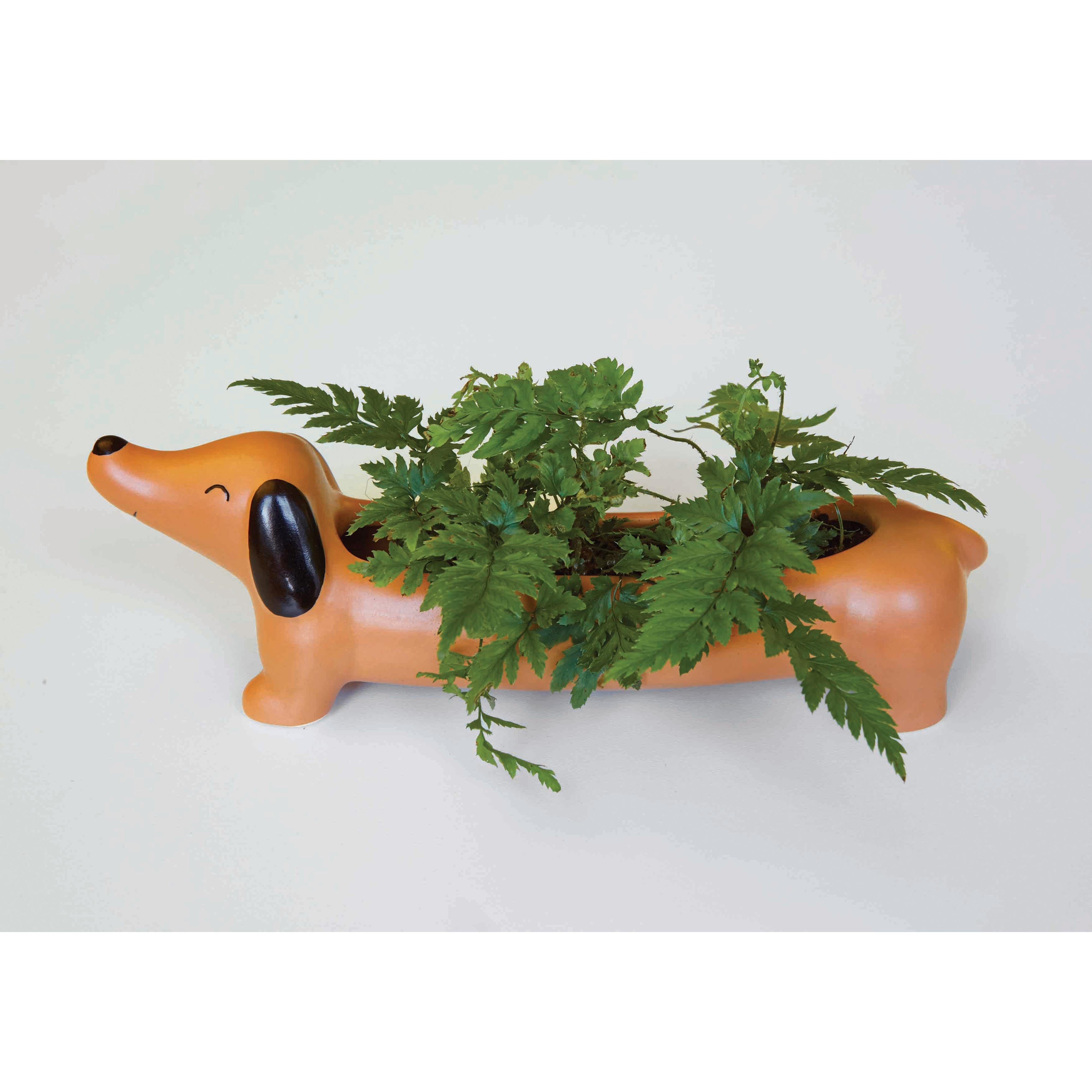 Kikkerland Daisy The Dachshund Planter Brown