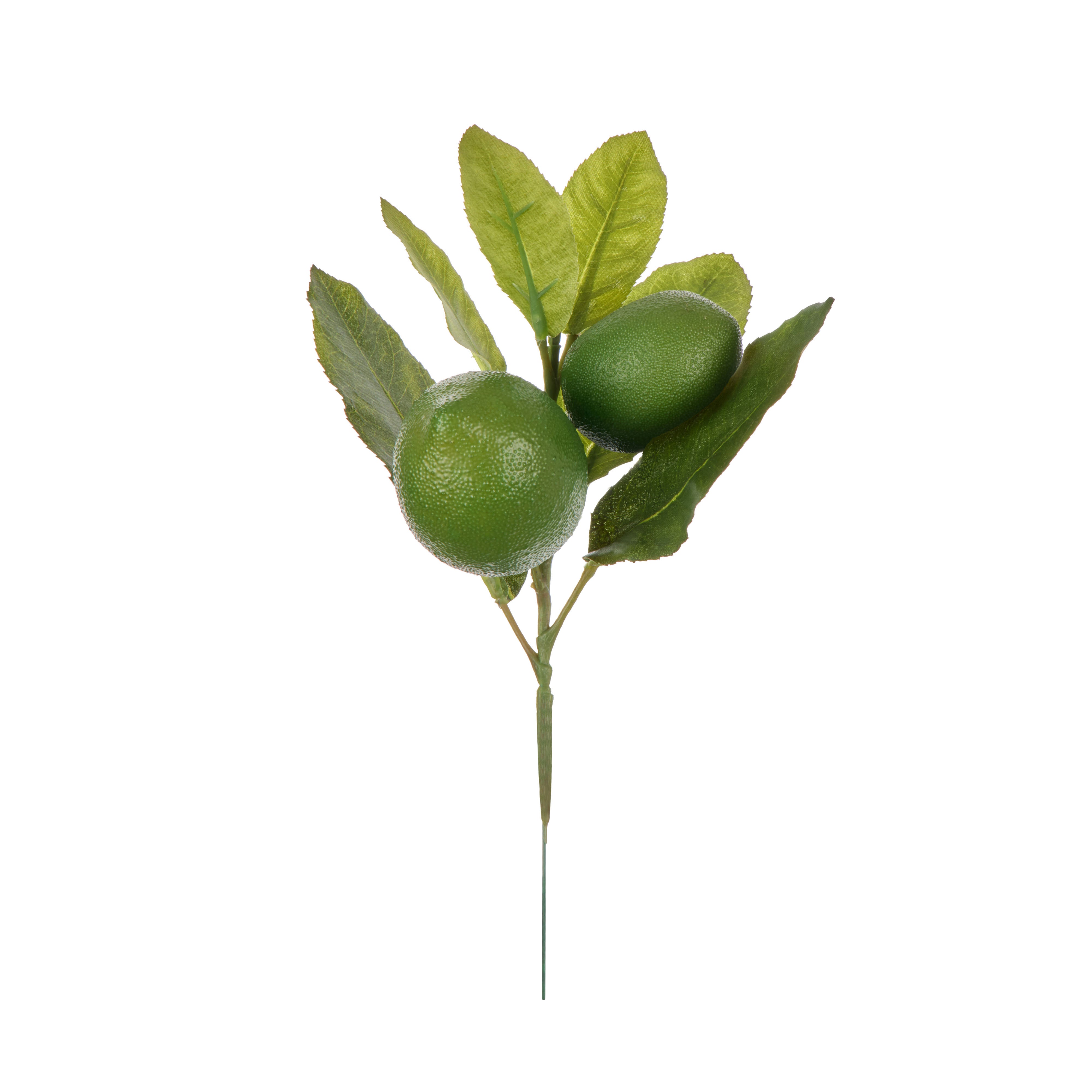 Rogue Lime Spray with Leaves