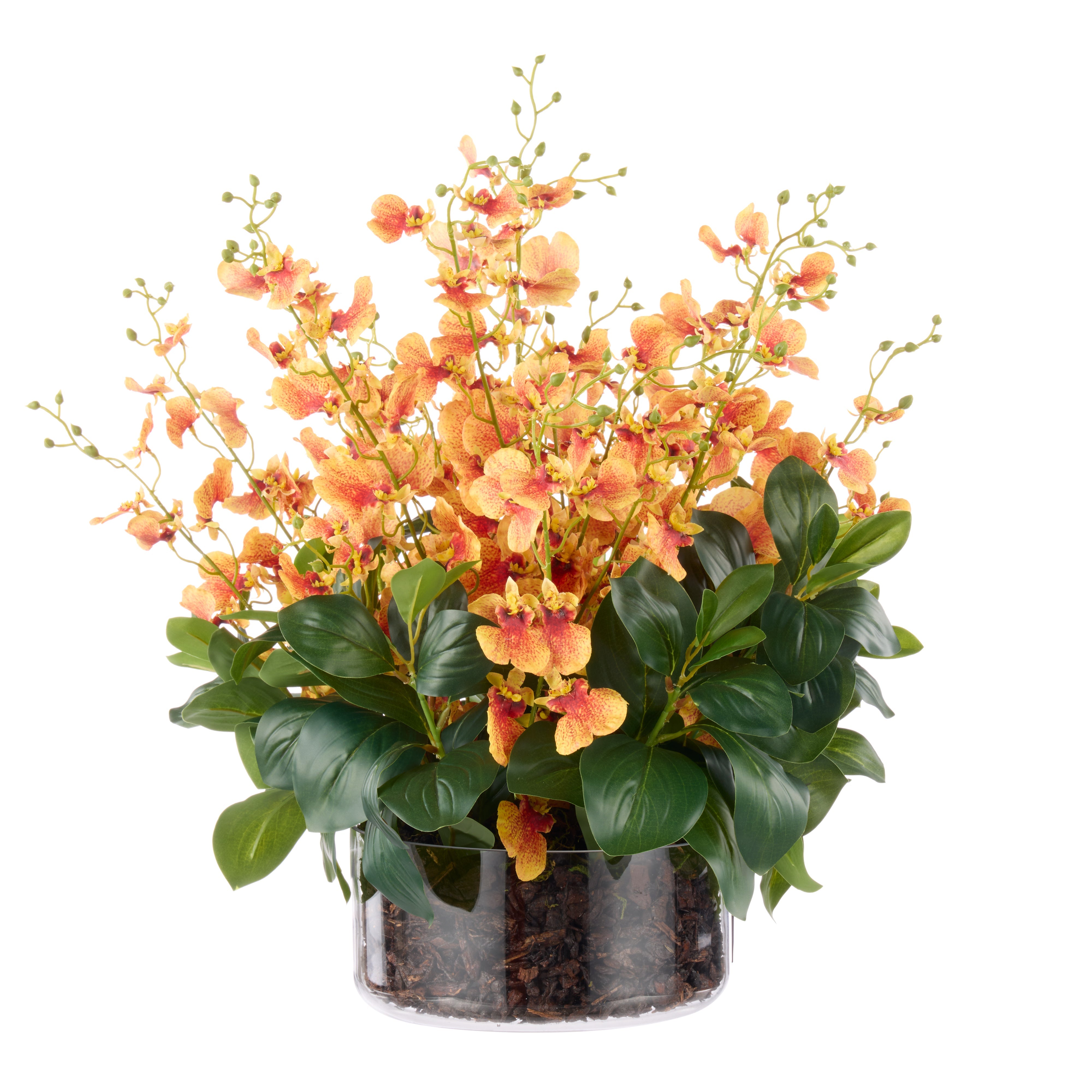 Rogue Dancing Orchid - Small Madelyn Bowl