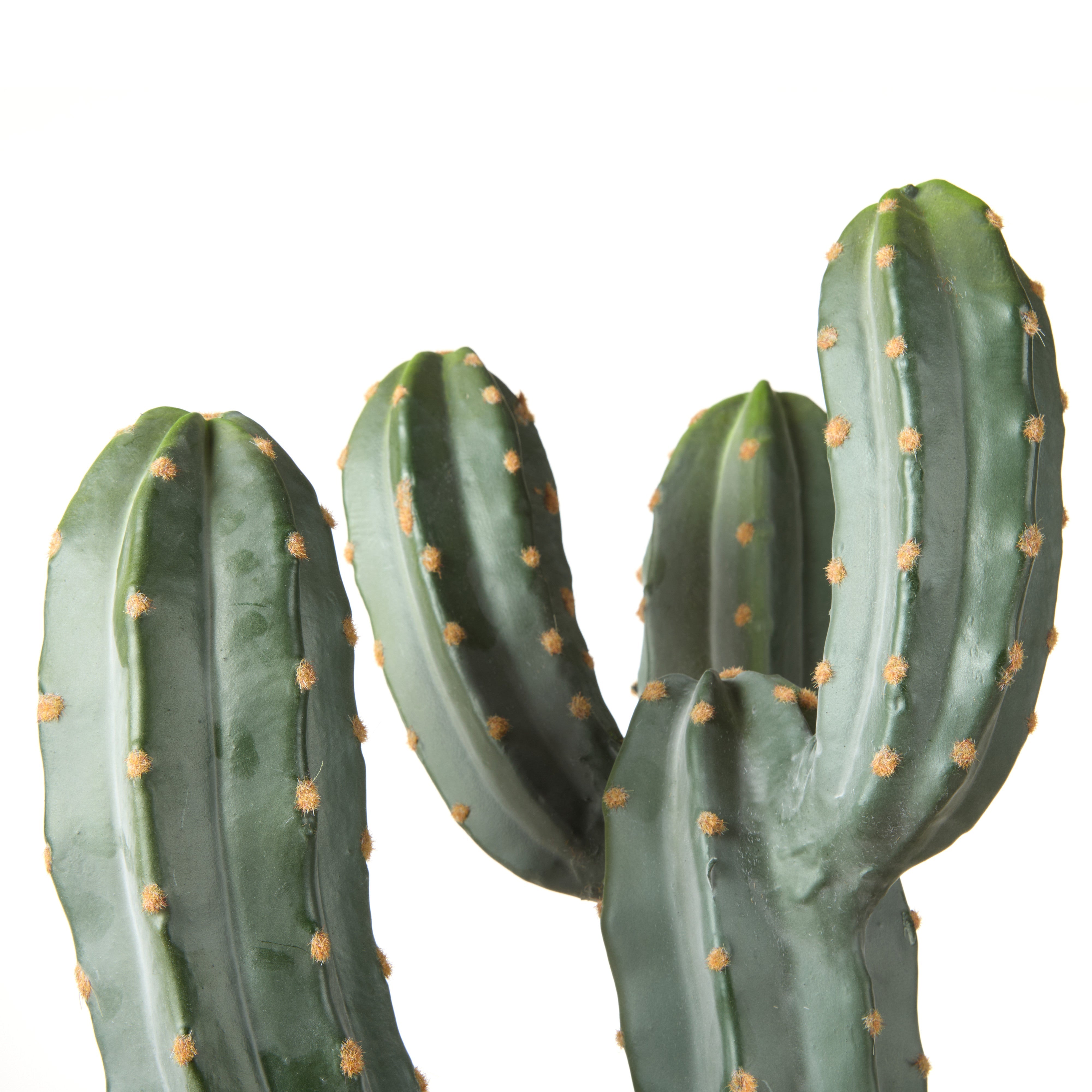 Rogue Saguaro Cactus - Garden Pot 123cm