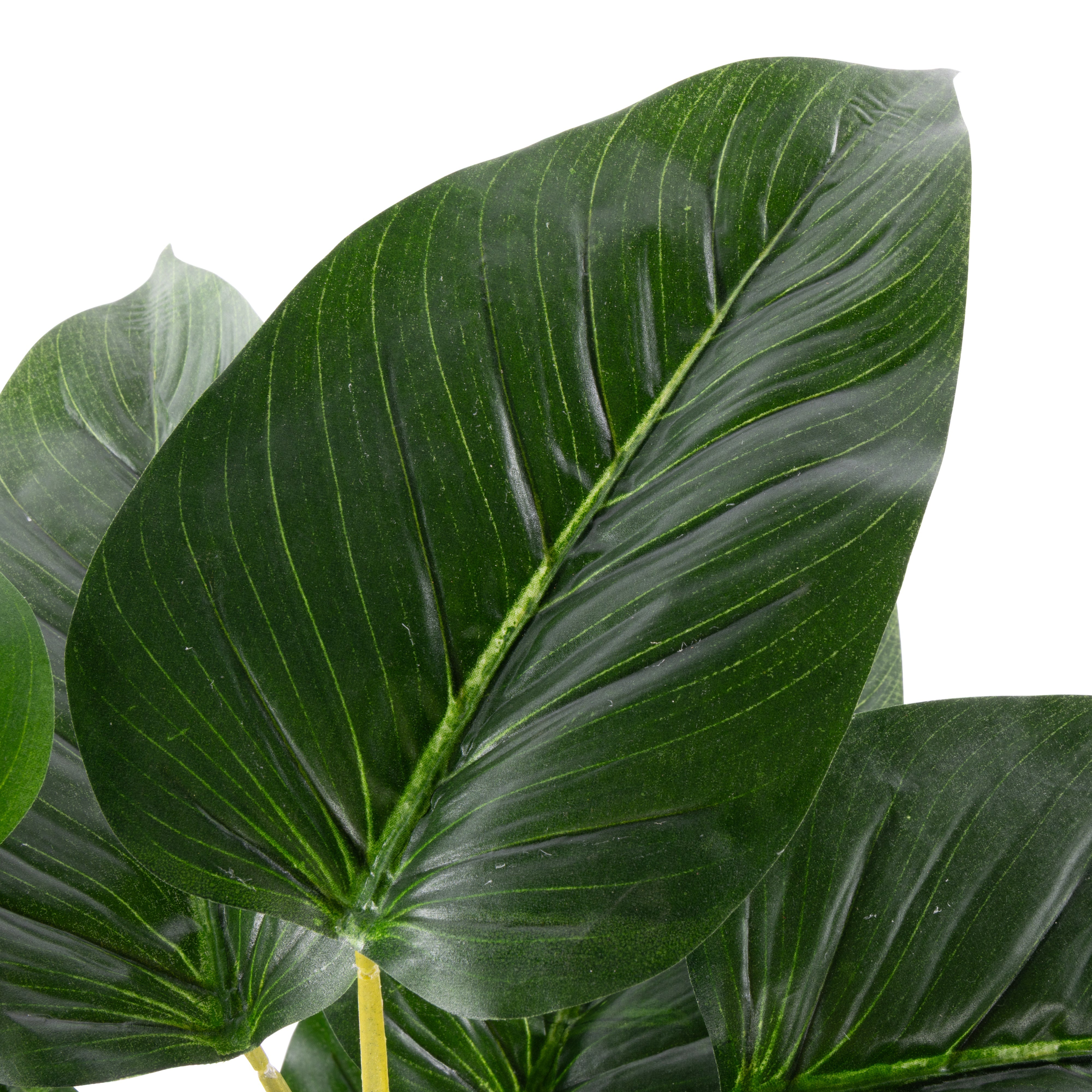 Rogue Philodendron UV - Garden Pot 120cm
