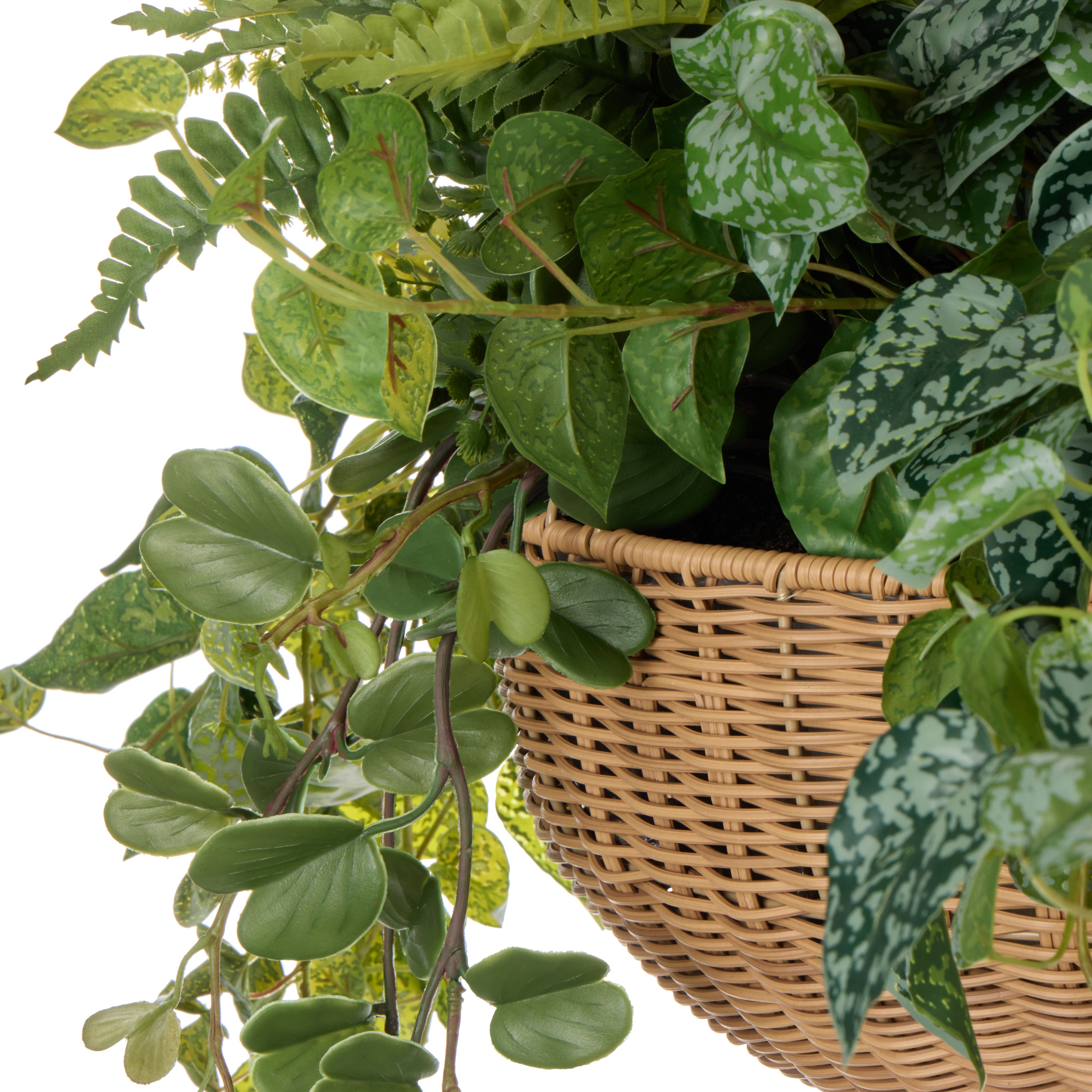 Rogue Fern Garden Mix - Laos Hanging 147cm
