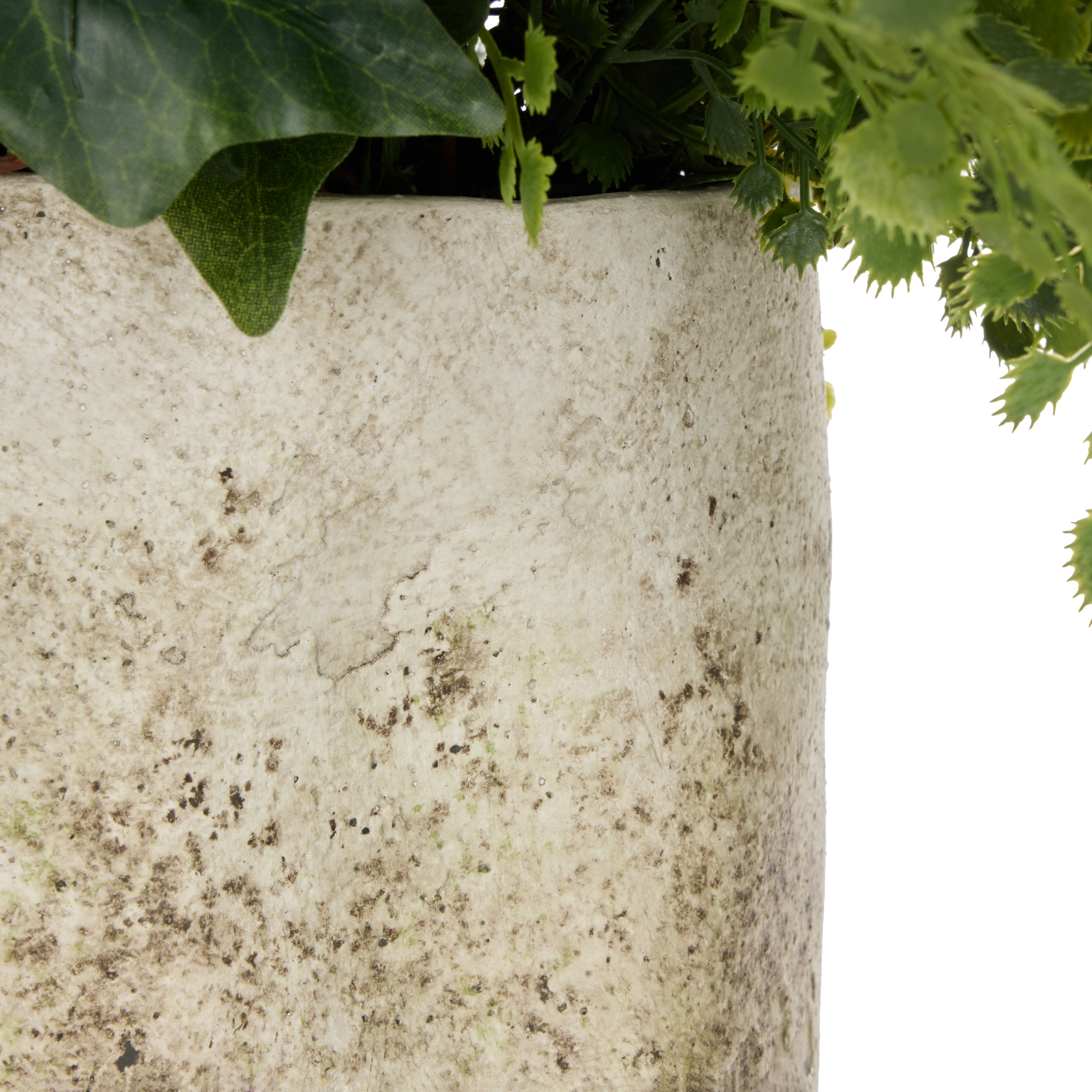 Rogue Maiden Ivy - Edith 30cm